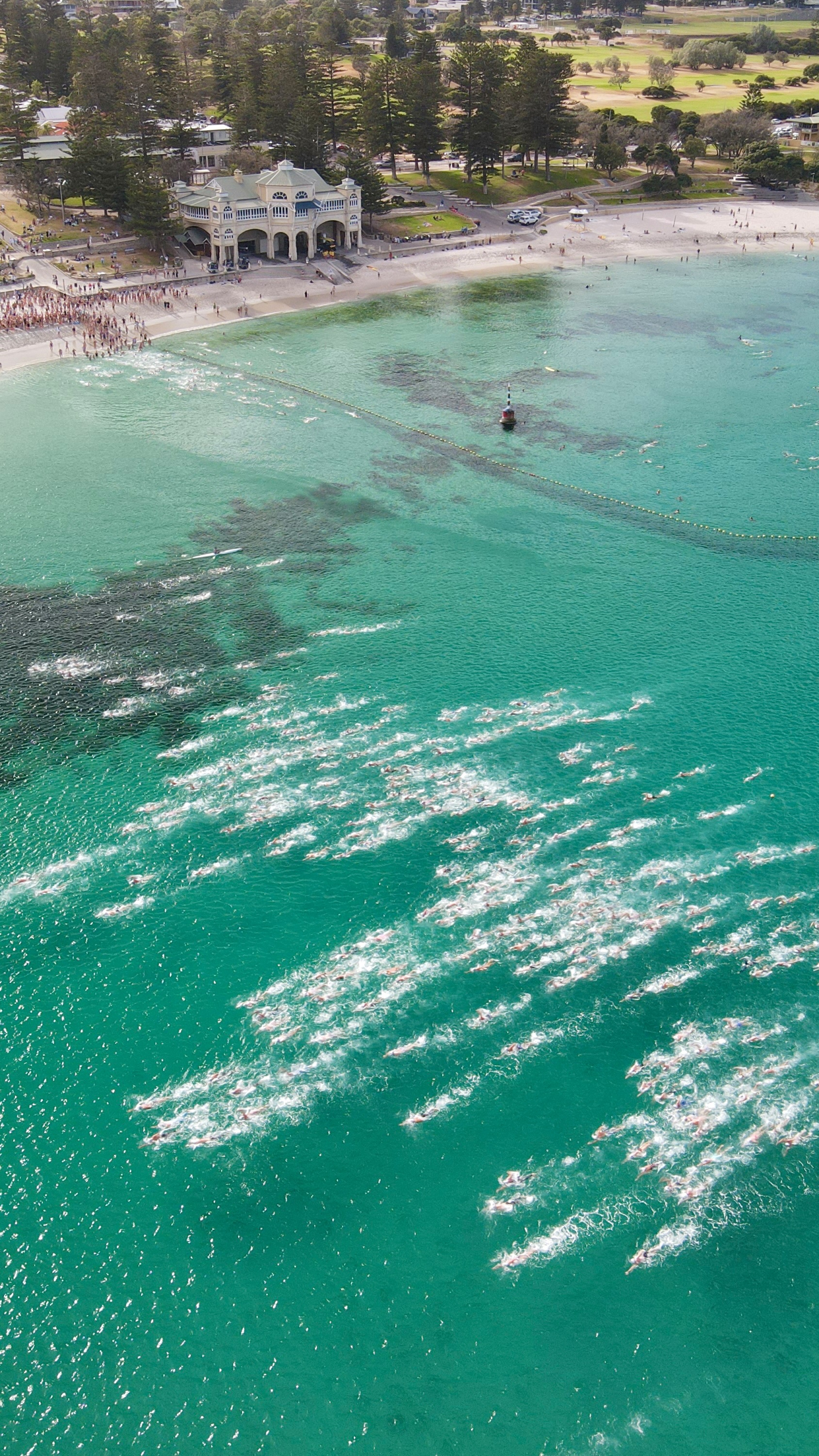 🍉🏊♀️Swanny Ocean Classic is on Saturday 1 February.
We are just 1 week away! Come join in the fun - swim, run, racing mal or SUP the amazing 2km of coastline from Cottesloe Beach to Swanbourne Beach.
Join us to celebrate 40 years of Swanny Ocean Classic, and honour the late Colin Cook - event co-founder and Life Member of Swanbourne Nedlands SLSC. We can’t wait to see you on the start line!
Online registrations close 3pm Friday 31 January. Click the link in our bio to register now!
#swannyoceanclassic #cottesloe #swanbourne #ows #openwaterswimming #swim #sup #run #cottsloebeach #perthisok #perthevent #mastersswimmingwa #openwaterswim