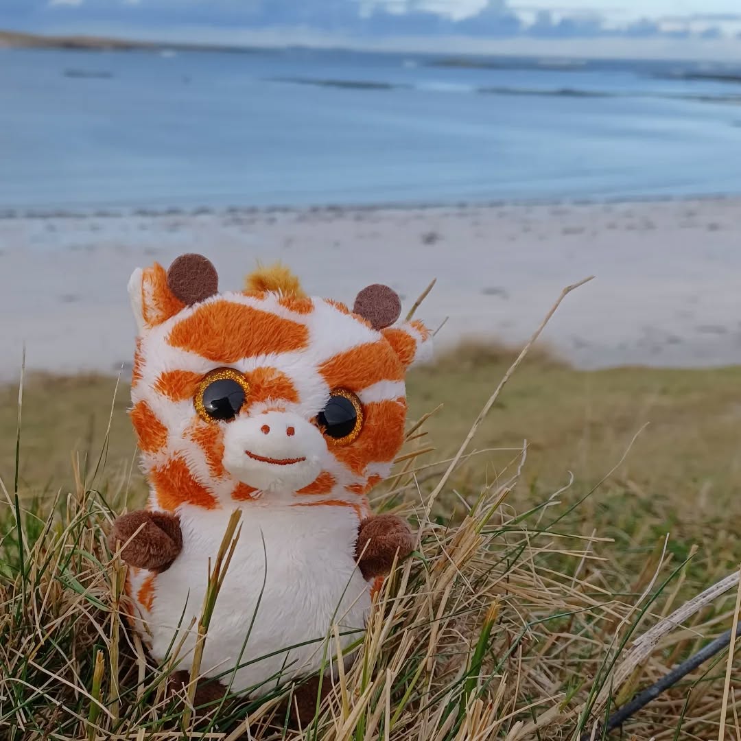 Wee Gary checking out routes and rides for our forthcoming season itineraries.
Great weather today after the recent storm.