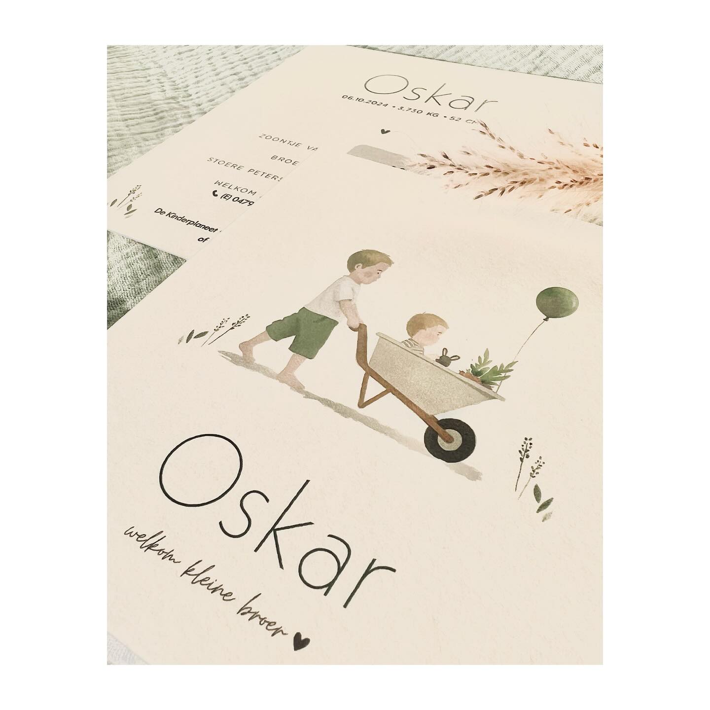 Een lief geboortekaartje voor het kleine broertje van Feliks.
Welkom Oskar 💚
#geboortekaart #geboortekaartje #geboortekaartjes #baby #studioflo #drukwerk #uniekgeboortekaartje #babyontheway #babyboy #zwanger2025 #itsaboy #zwanger #20wekenzwanger #mommytobe #studioflo #eenvoud #eenvoudigkaartje #minimalistisch #ontwerp #grafischontwerp #doopsuiker #suikerbonen #birthannouncement #cartedenaissance #graphicdesign #drukwerk