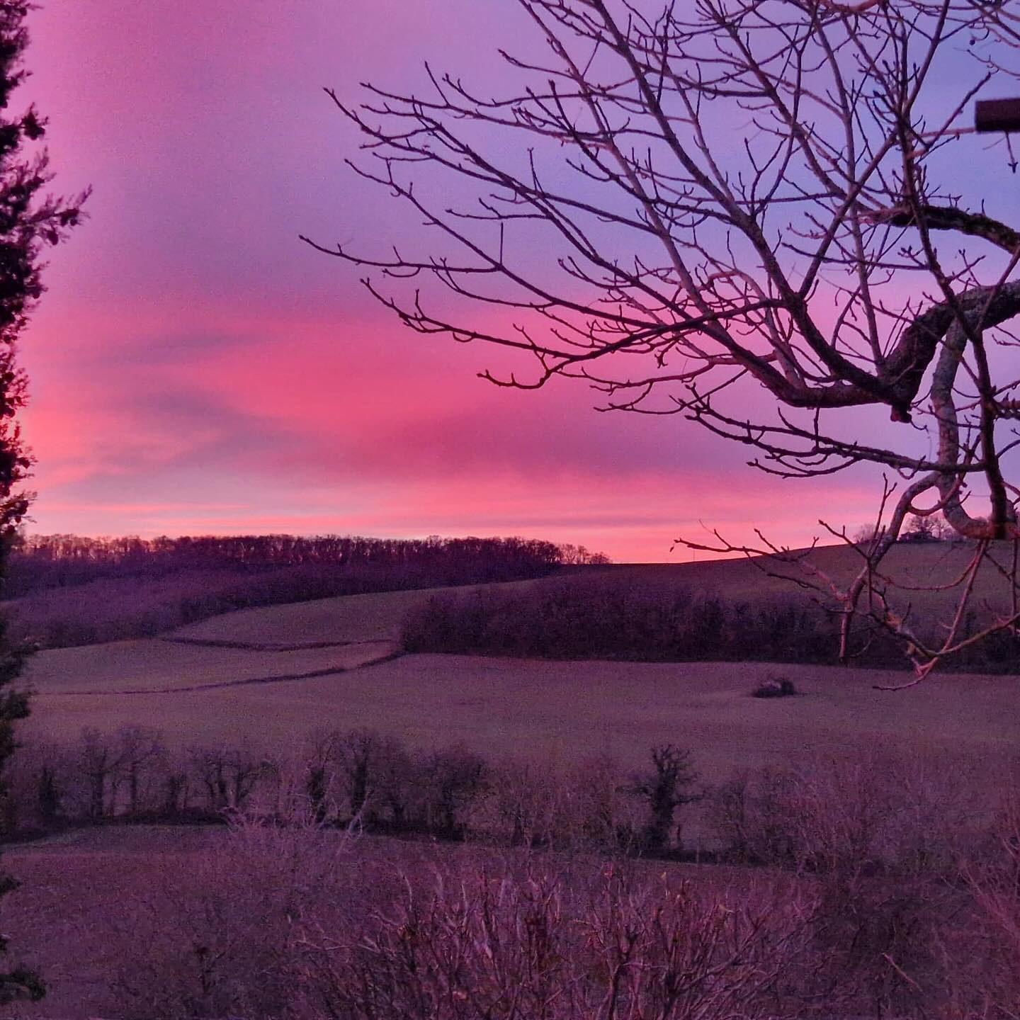Lever de soleil sur le Gers, un matin d’hiver 💜🩷💜🩷
#gers #igersgers #igersauch #igersfrance #occitanie #gersledepartement #tourismeoccitanie #sudouest #sudouest_focus_on #sudouest_photographie #lebonheurestdanslegers #gersmondépartement #francetourisme #southoffrance #gascogne #nature #naturelovers #naturephotography #campagne #campagnefrancaise #campagnedefrance #gites #gitesdecharme #gitedecharme #gitedefrance #vacancesgitesdefrance #vacances #vacancesenfamille #vacancesenfrance #hameaudecapuran