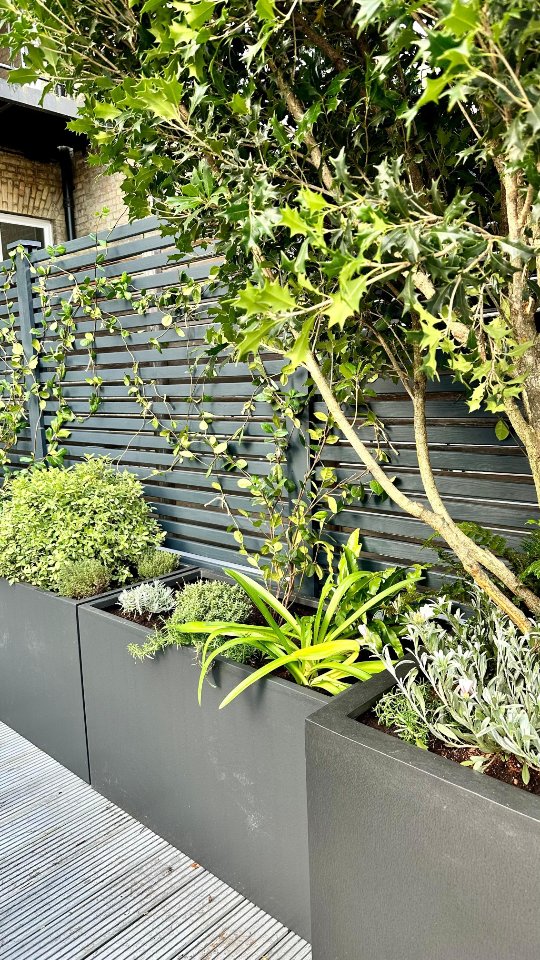 Transforming spaces with precision and care! 🌿✨ Our skilled team uses top-tier standards and equipment to ensure every detail meets our clients' highest expectations. From planning to planting, we’re here to bring your vision to life.
Ready to elevate your outdoor space? Contact us today and let’s create something extraordinary together! 🏡🌱
.
.
.
.
.
.
.
.
.
.
#chelsea #landscape #terraceplants #terracetransformation #outdoorliving #london #plants #gardening #gardeners #garden #Clapham #putney ##claphamcommon #southkensington #uk