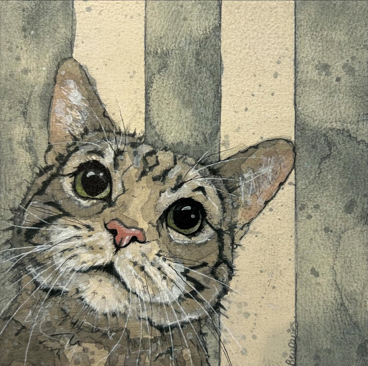 This little Cute Kitty is off to its new home soon .. this is the sister to the little kitty I did a few month’s ago found a new home straight away .. so there will definitely be more kitties to come .. if your a cat lover keep 👀 I will update soon