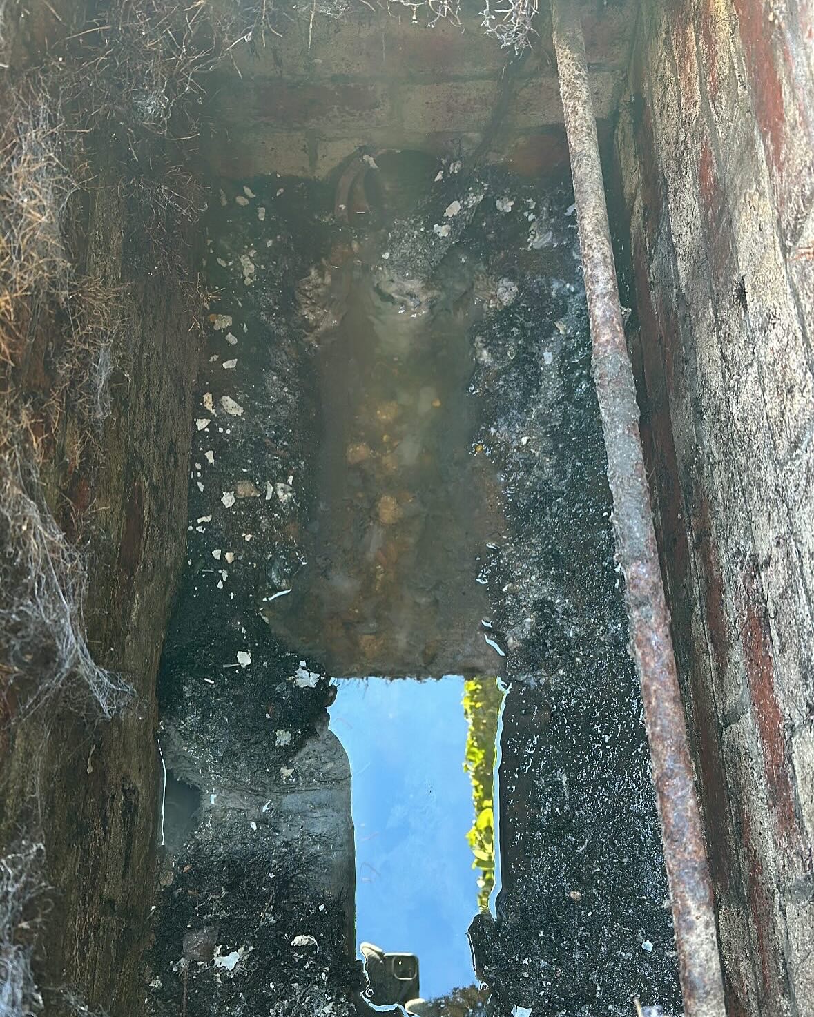 Root removal. Before and after ✔️