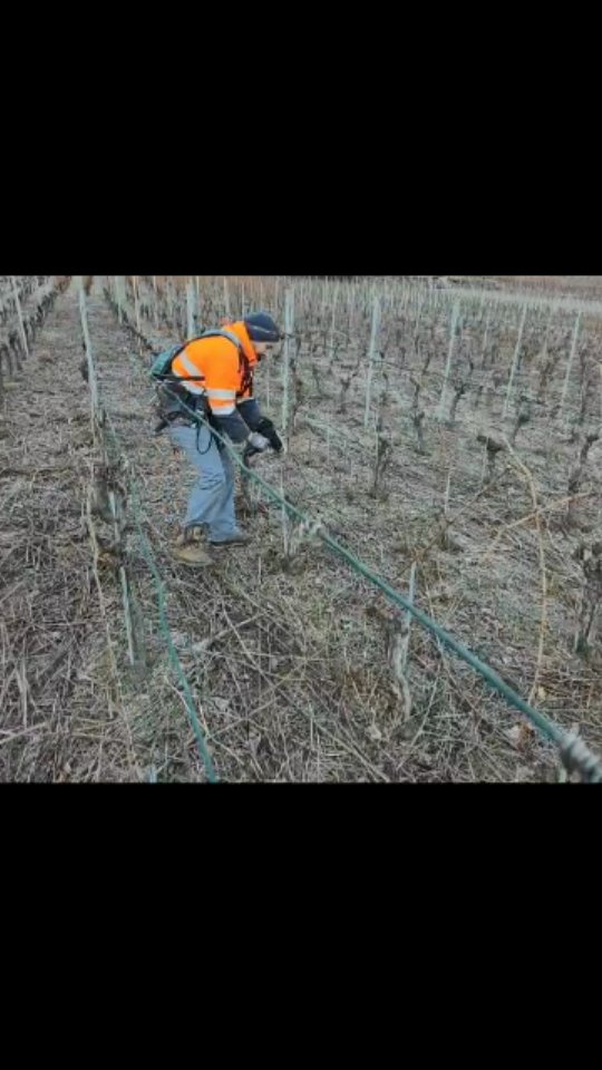 Nach einer längeren Pause sind wir auch hier zurück. Die Arbeiten in den Reben haben bereits gestartet. Wir freuen auf ein erfolgreiches Weinjahr 2025 🍷
#brandeija #reben #weinberge