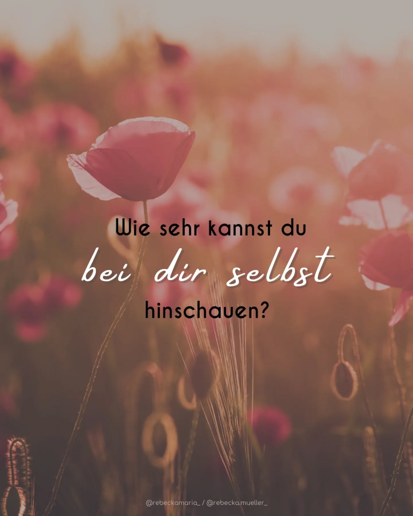 Bist du mutig genug, dich selbst zu hinterfragen und in deine eigen tiefen einzutauchen?
#merzverhindern
#liebeiststärkeralshass
#persönlichkeitsentwicklung
#selbstreflexion
#coaching