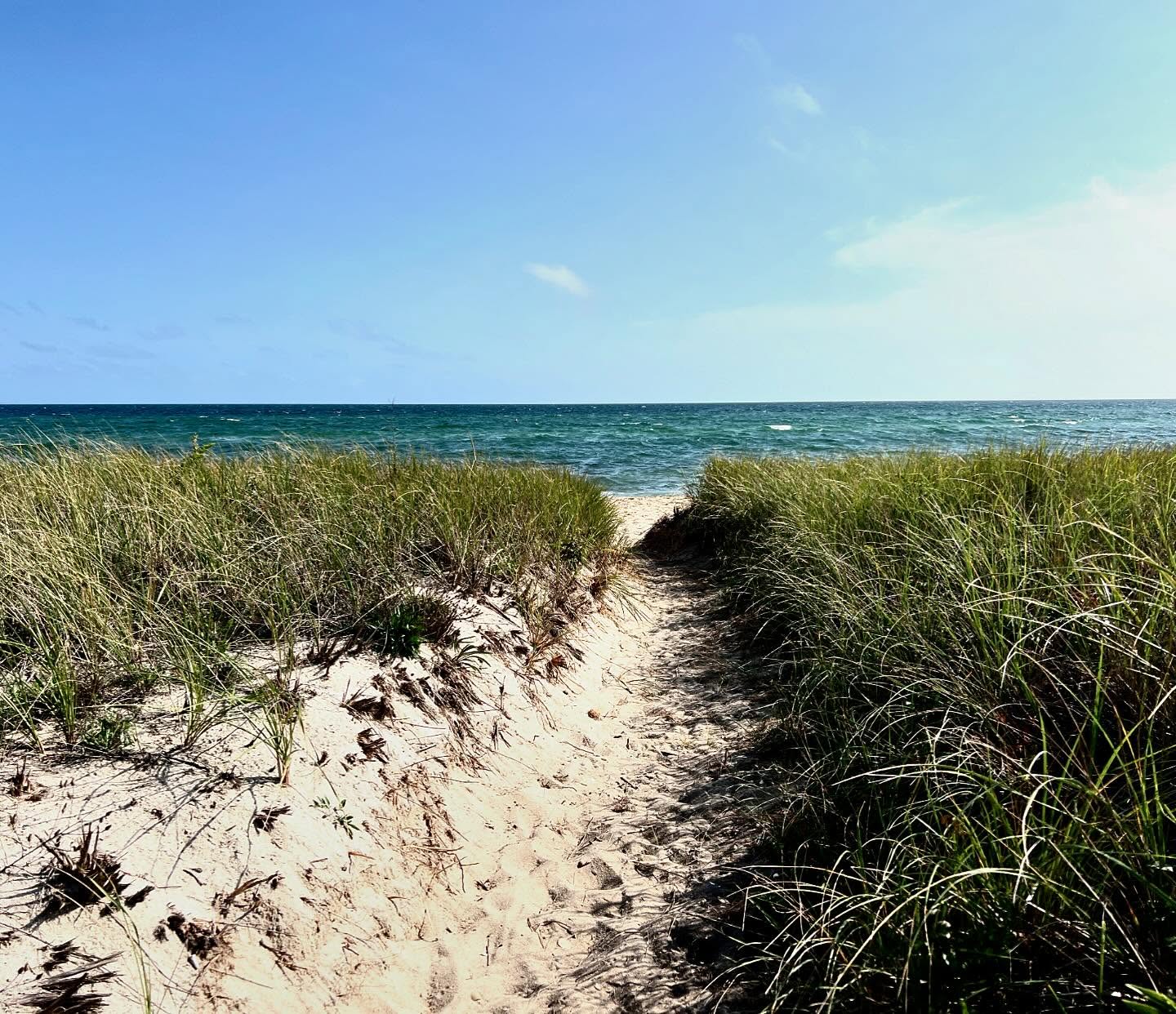 A little salty air to feed the soul 🌊 #marthasvineyard