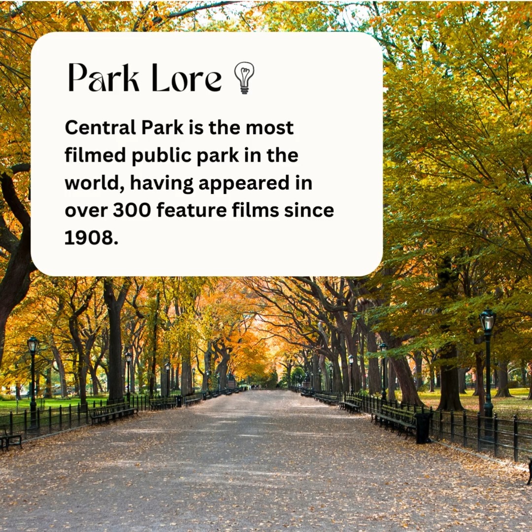 For good reason 🎬
#hatbrand #centralpark #centralparknyc #centralparker #nycparks