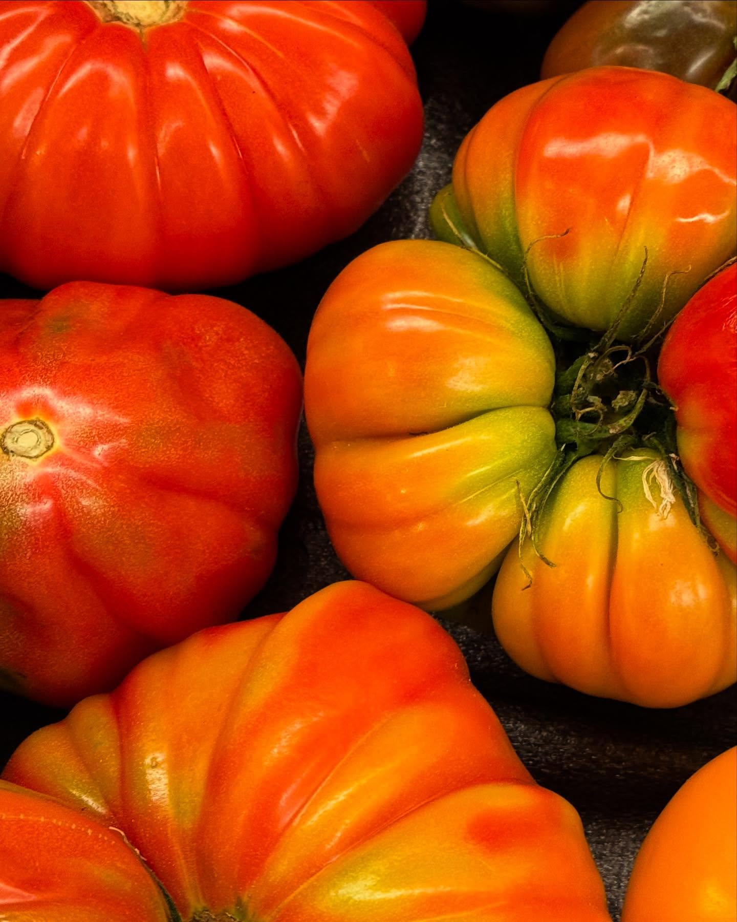 MarVa is all about farm-to-table dining, featuring the finest and freshest produce. Chef Itai is picky in the best way—personally sourcing ingredients from NYC’s top markets and vendors to bring the best to your guests. 🌿 #YallaMarVa
#farmtotable #freshingredients #cheflife #plantbased #chefmode #yummy