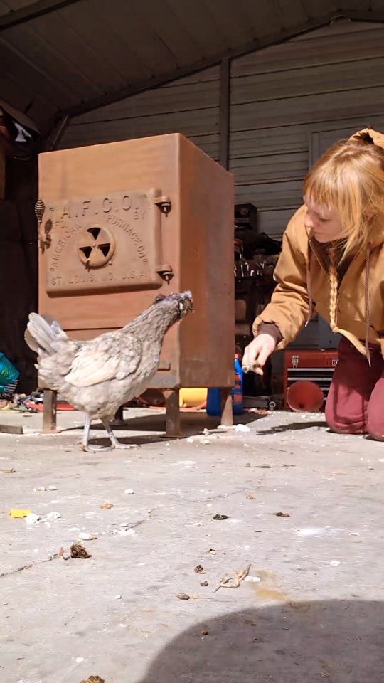 Restore a 1911 wood stove made in STL with me!
#homestead #homesteading #farmhouse #farmhousestyle #homesteadlife #vintagefarmhouse #vintagestyle #diy #woodstove #restoration #satisfying #restoration