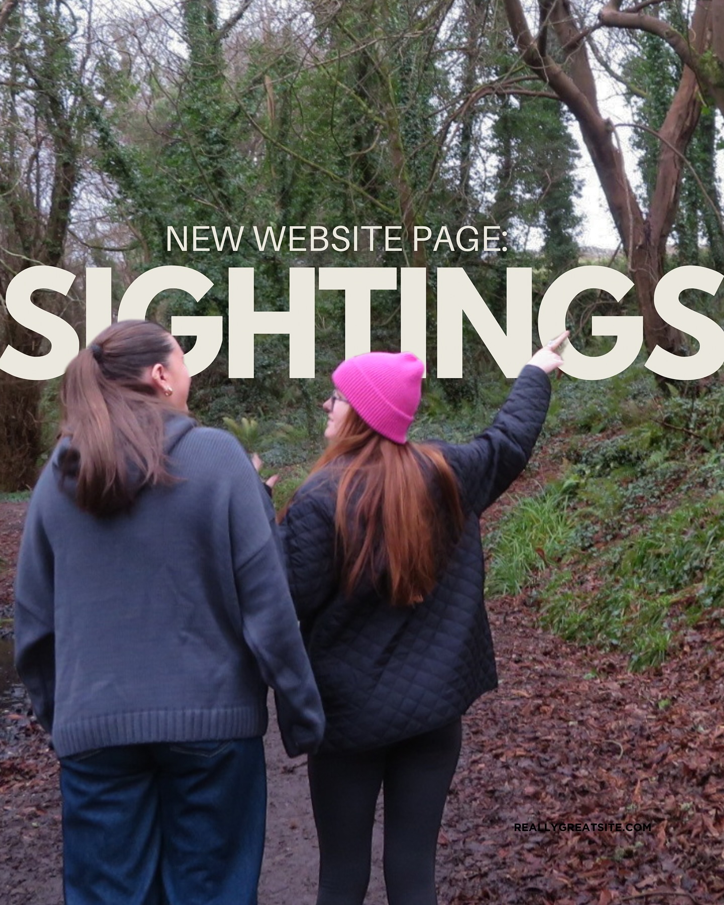 🌿🌟 Spot it. Share it. Celebrate it! 🌟🌿
Our new “Sightings” section is here! 🐾🍃 Whether it’s a rare bird, a blooming wildflower, or a curious critter, now you can report your discoveries and explore updates from others in the Ballymacraven community. Let’s uncover the beauty of nature together. 🌸✨
🔗 Check it out on our website and share your finds today!
Link to sightings page: https://www.restoreballymacravenriver.com/sighting-form
#Ballymacraven #NatureLovers #ExploreAndShare #Sightings #FloraAndFauna