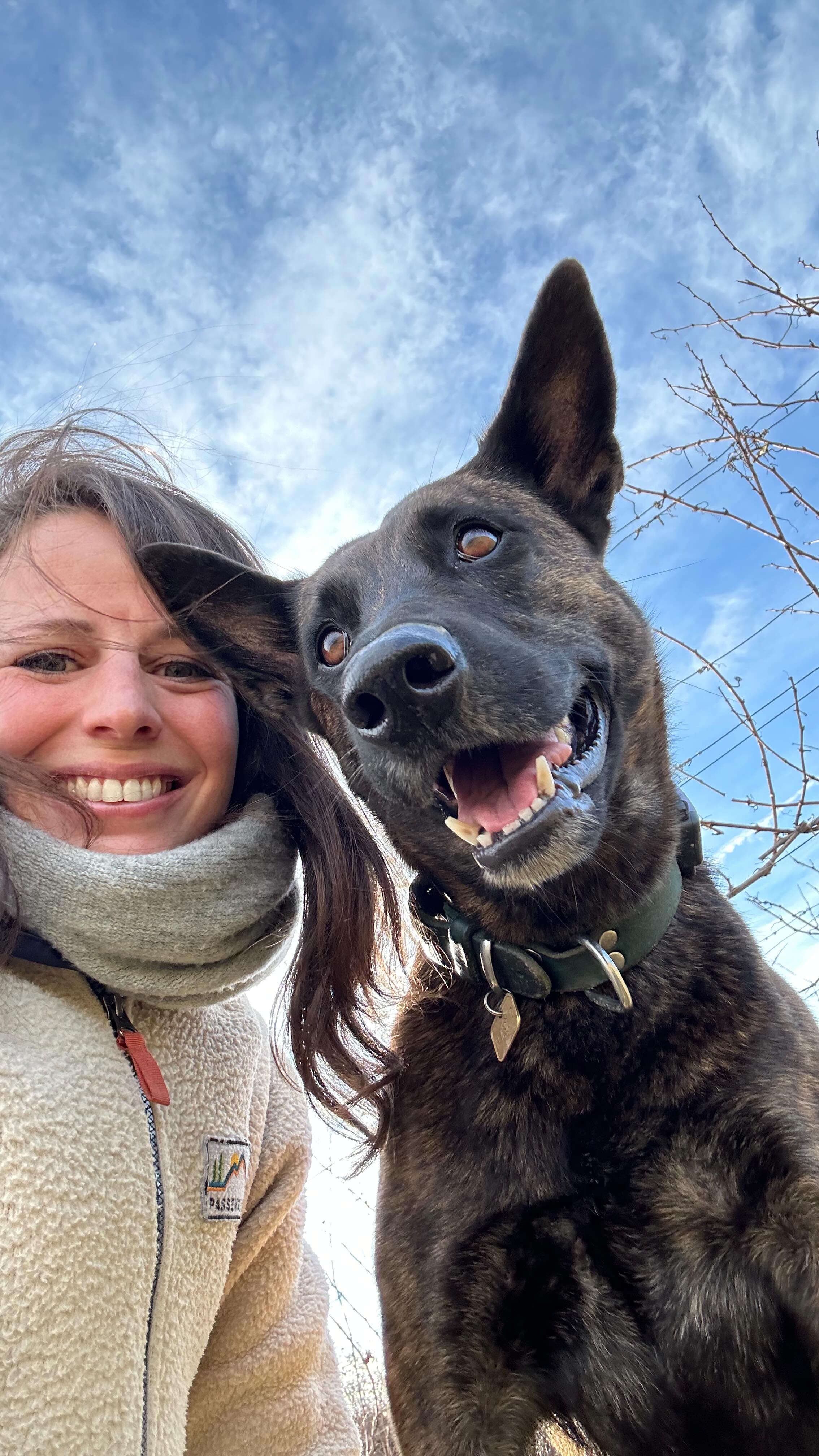 Kann ruhig so weiter gehen 🥹🌞 #2025 #winter #january