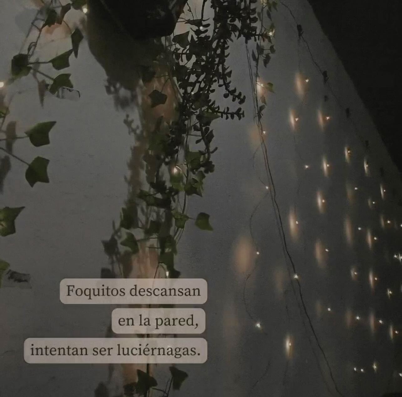 Un haiku de @fridamtz21 para comenzar la semana 🙂↕️
.
#haiku #haikupoetry #haikupoem #haikuaday #poesia #escritora #revistalme