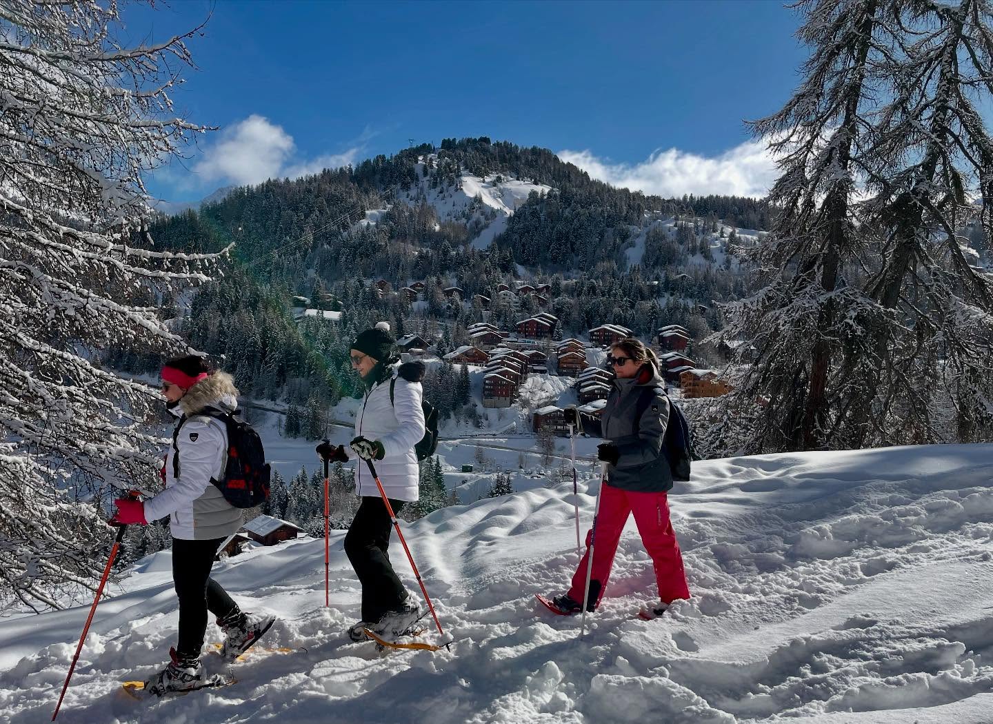 Matinée ensoleillée à @la_plagne
❄️❄️ poudreuse et forêts enneigées 🌲
#raquettes #outdoor #snowshoeing #skiholiday #laplagne