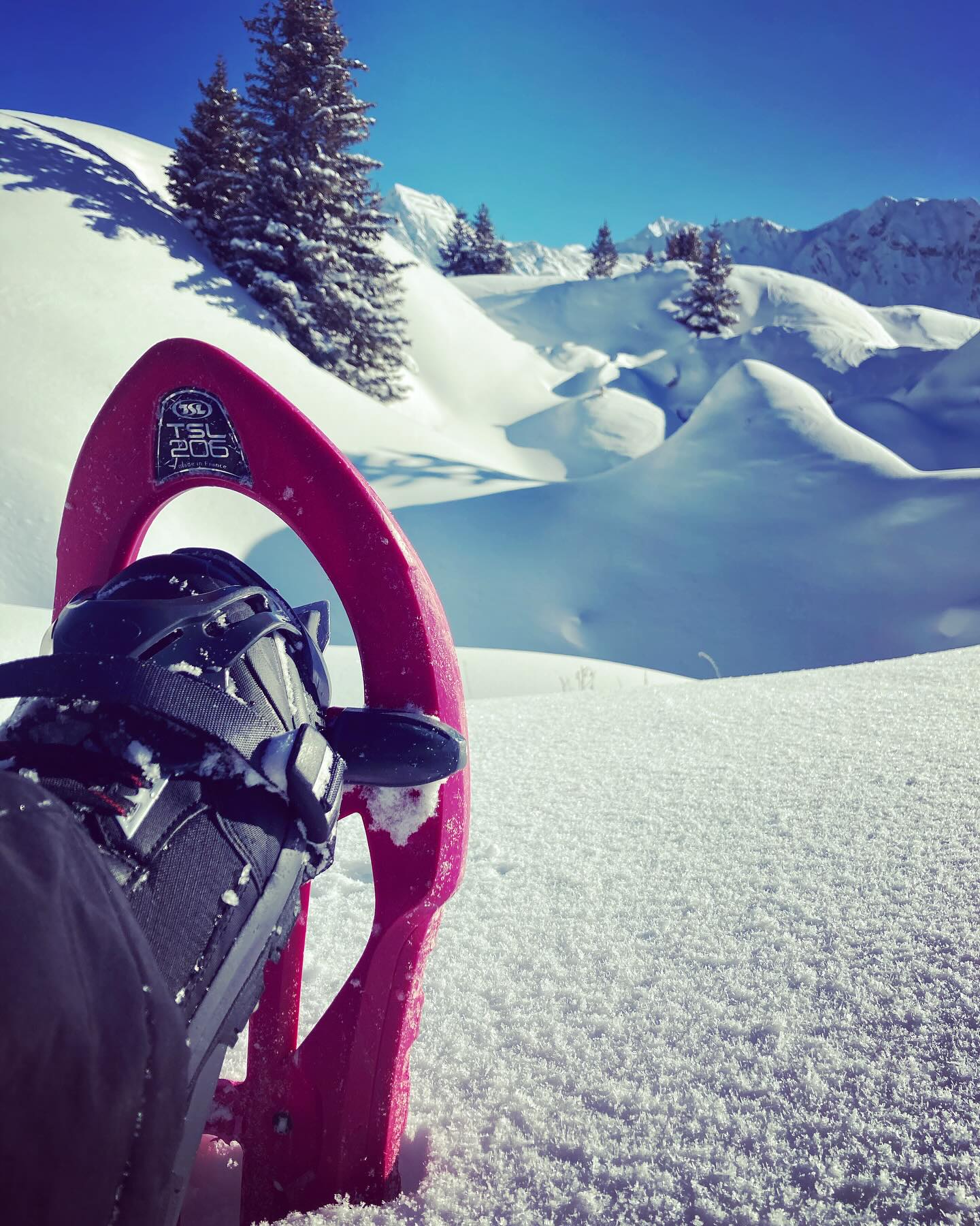 ❄️ Explorez La Plagne autrement avec Plagne Évasions ! ❄️
Envie d’un moment hors du temps en pleine nature ? Enfilez vos raquettes et partez à l’aventure avec Plagne Évasions ! 🏔️✨
🌲 Balades accessibles à tous
🐾 Observation de la faune et découverte de paysages enneigés
🌅 Sorties spéciales : rando nocturne, pauses gourmandes…
🤩 Guides passionnés pour une expérience unique
📍 La Plagne
📞 Réservations : 0642085335
🌐 Plus d’infos : https://www.plagne-evasions.fr
🔗 Taggez vos compagnons d’aventure et partagez vos meilleurs moments avec #PlagneEvasions !
#Raquettes #LaPlagne #Montagne #Nature #Évasion #PlagneEvasions #aventurehivernale