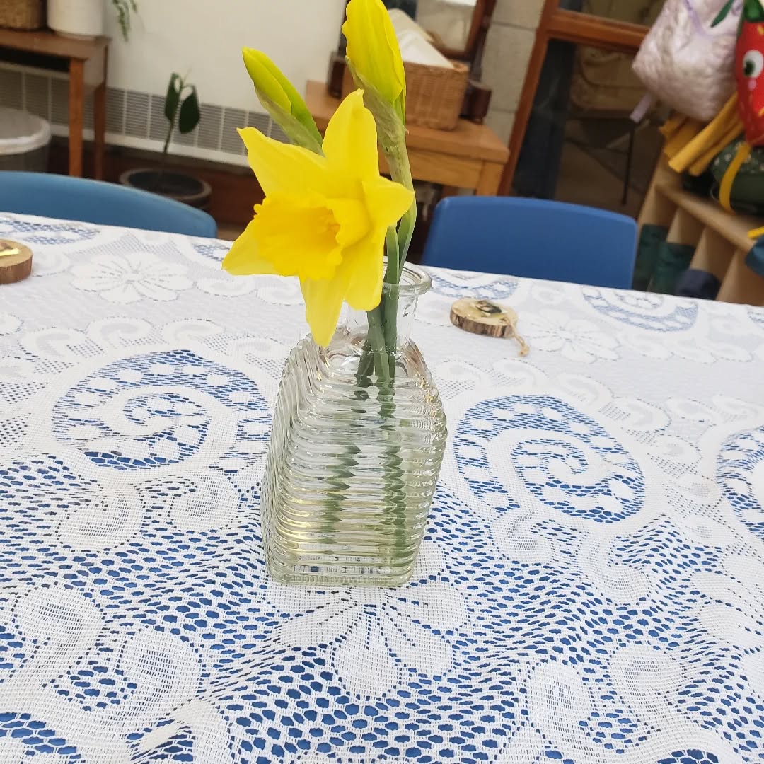 Daffodils on our lunch tables today! Signs of Spring...!
#happykids #altrincham #earlyyears #nature #agreatplacetobe