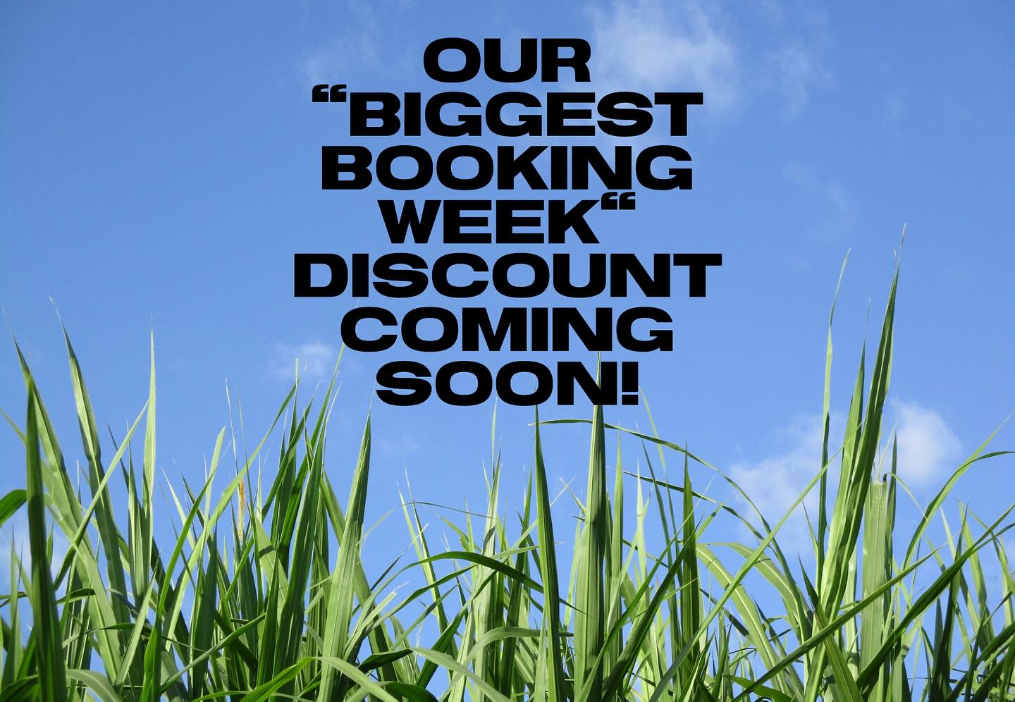 🙌 We’re getting closer to glorious Minnesota summer days, campers! Be on the lookout for an awesome 🔥DISCOUNT🔥 on 2025 RV bookings (daily/weekend stays during our season May through October) during the week of March 3-9!!!! 💵