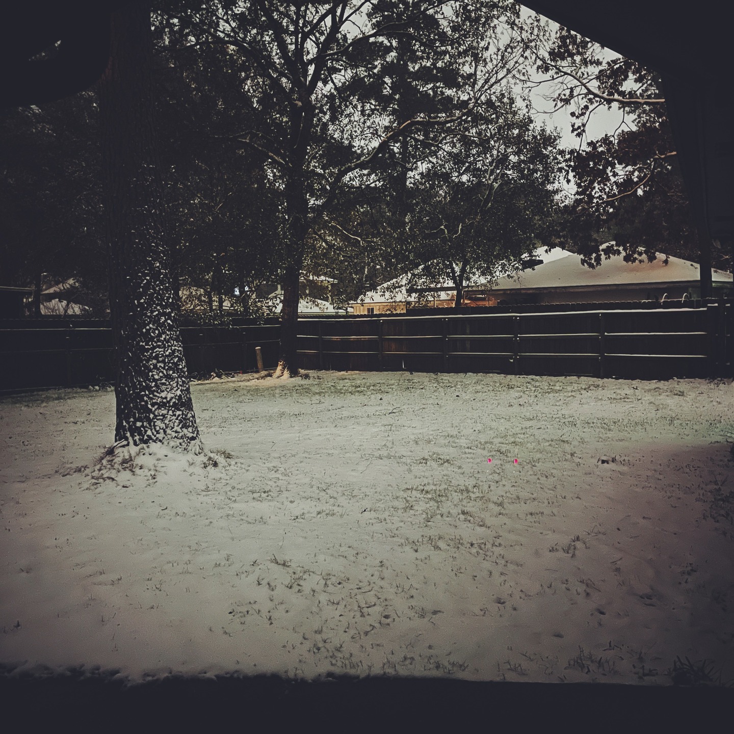 WEEK 04: A week in my writerly life.
1 - WE HAD SNOW. It didn't even fully cover the grass, but I was still happy about it.
2 - Prepping the bushes out front to receive the historic snowfall.
3 - This is the only candle I own that isn't pumpkin or fall scented. Must remedy.
4 - What the heck is this position.
5 - Brainstorming 🧠 Think Magnificent Seven, but make them Regency widows??
#amwriting #ambrainstorming #houstonsnow