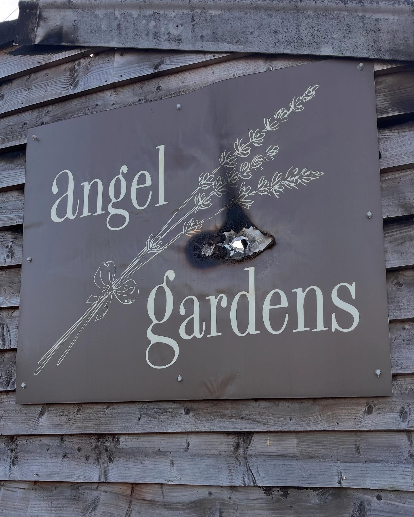 Well it’s been a long week and lots to organise, daphers is a little confused but getting better😊 but I just can’t express how overwhelmed I am by all the beautiful messages I’ve received which has really kept our spirits high! So from myself and Helen thank you all so very much for your kindness 🌸🐦🔥#independentgardencenter #sosad😢 #worcestershire