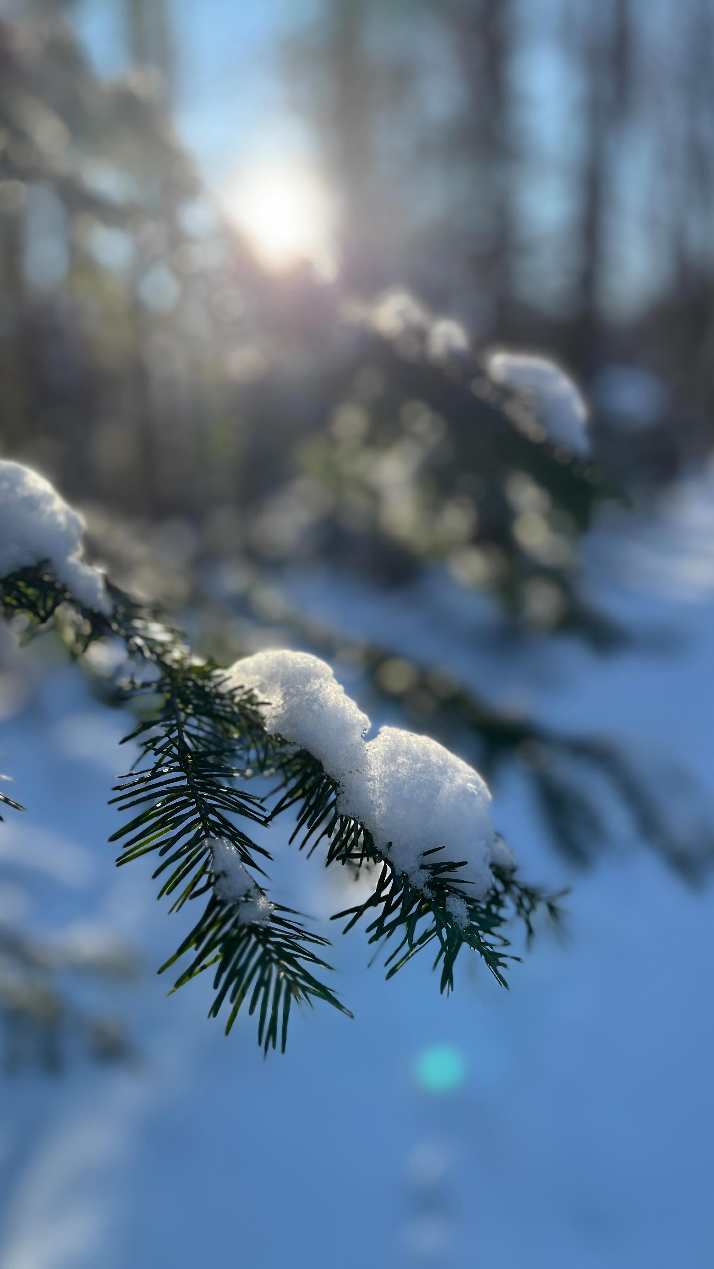 Verset du jour pour vous inspirer en cette journée ensoleillée!
.
.
#verseoftheday #blogchretien