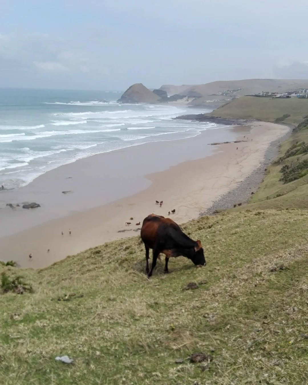 between hole in the wall and coffee bay, transkei