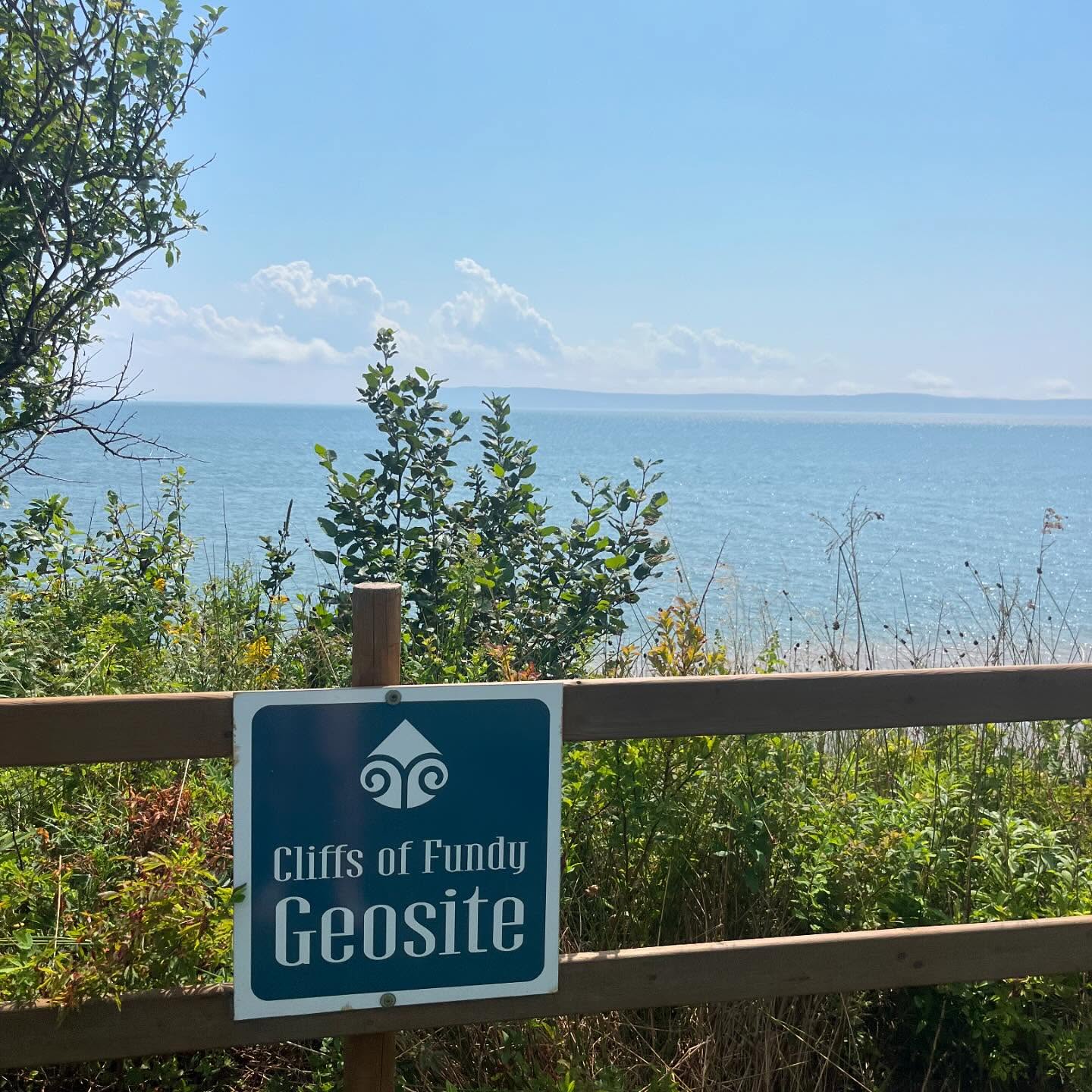 Weโre missing summer around here ๐๐ด #trailriding #spiritreinsranch #horses #barnfamily #summer #tourismns