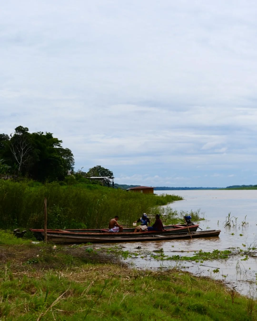 🌎 The Amazon River is drying up, and the impact is clear: locals struggle with food, indigenous communities face threats to their way of life, and we all see the fires and floods.
How can we help? 🌱
♥️whatever is in your power, like what you buy, your food, ETC. EN LO QUE PUEDAS, HELPS ♥️
💚 #Amazonas #ClimateAction #Sustainability #EcoConscious