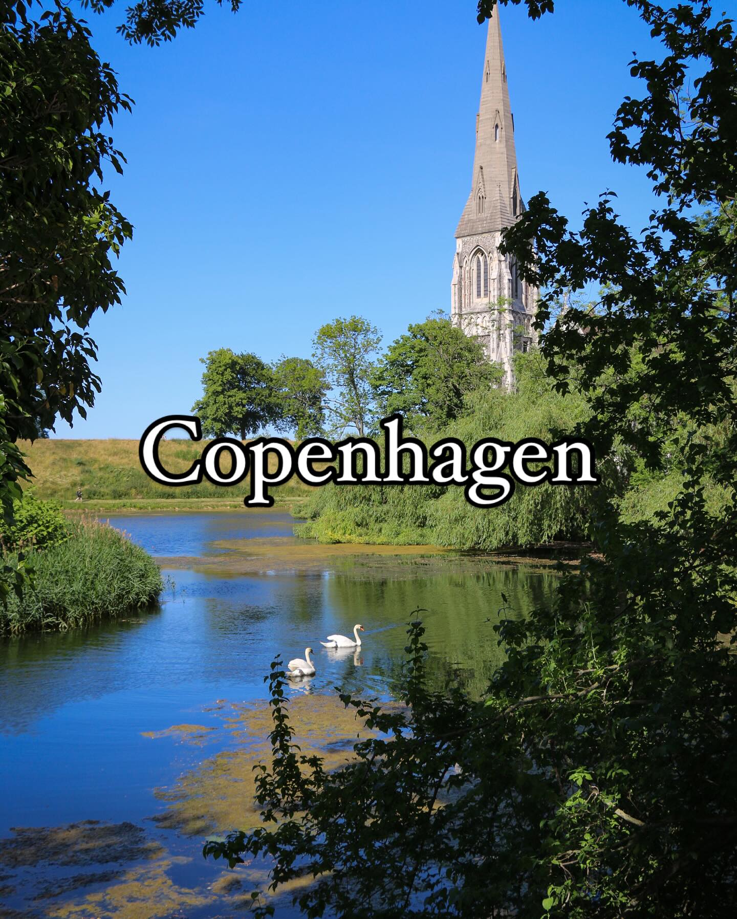 A few reasons why Denmark is the happiest country in the world 🇩🇰 #copenhagen #denmark @hellofora @myeuropefix