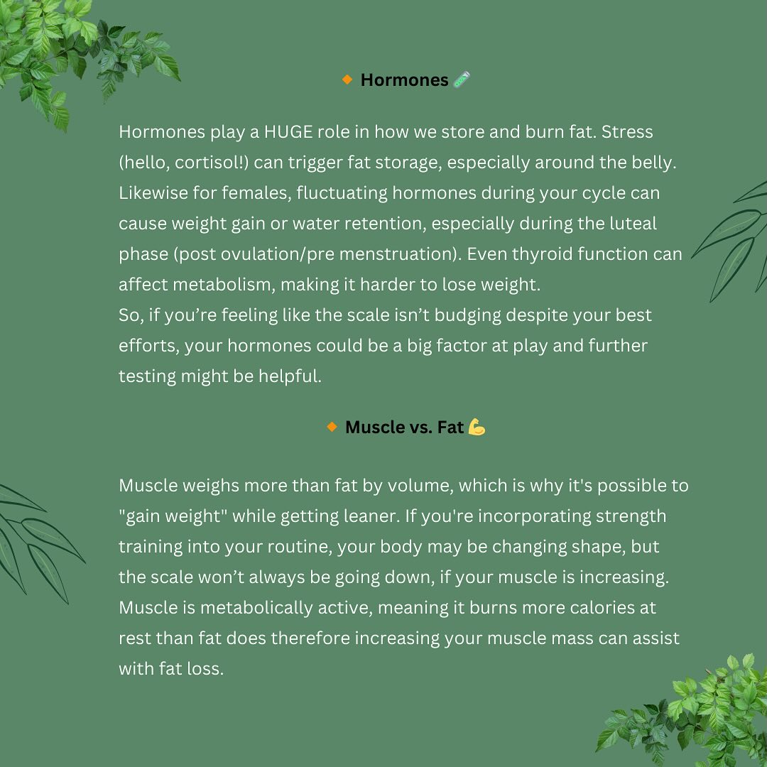 🌱✨ Weight Loss - Beyond the Scale ✨🌱
The scale never tells the whole story, it’s only one small piece of a very complex puzzle 🧩
Your body is constantly changing, with so many internal and external factors influencing how you look and feel - many of which have nothing to do with the number!
Swipe ➡️ to discover some important elements that can influence the numbers you see and your weight loss journey.
If necessary, these elements would be addressed to improve one’s overall health and well-being and, once small changes are made over time (remember, consistency and patience) more often than not, the weight loss can happen naturally as a by-product of the other healthier changes being implemented.
💡 Remember: The scale is just a number: it doesn’t define your worth or progress. Rather than focusing on a number, try focusing on how you’re feeling, your energy levels, how your clothes are fitting, your sleep and all the health improvements you’re making.
- CK 🍏💪🏻
Appointments available Mid- March!
#beyondthescale #holisticnutritionist #healthiswealth #notaboutthescale #healthyhabits #foodasmedicine #mindsetiseverything #yougotthis #weightlossjourney