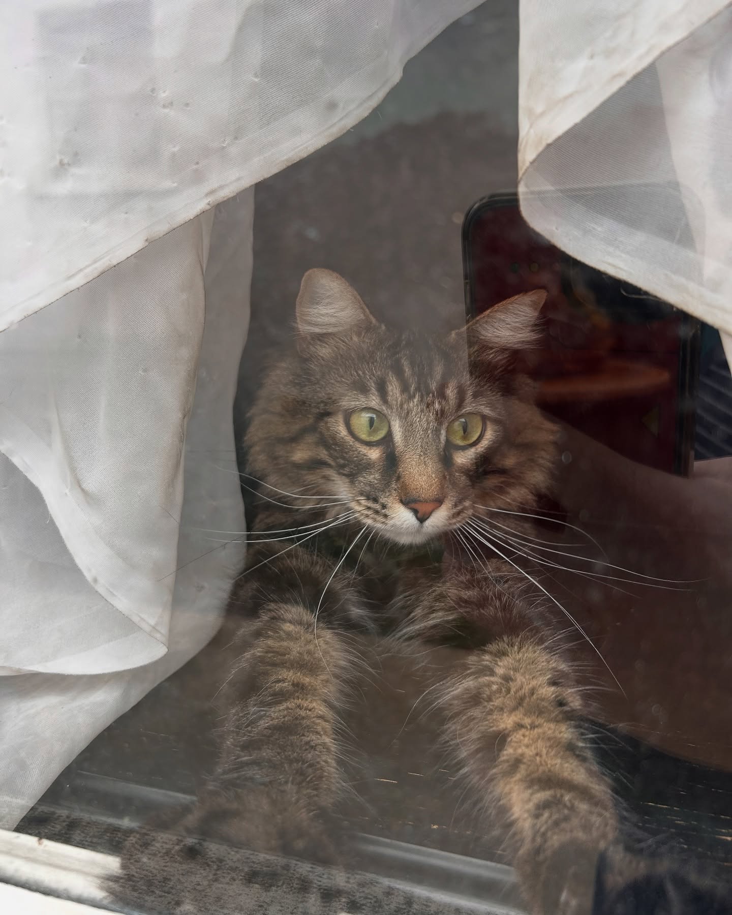 Little One
Lana Leopard
Little One