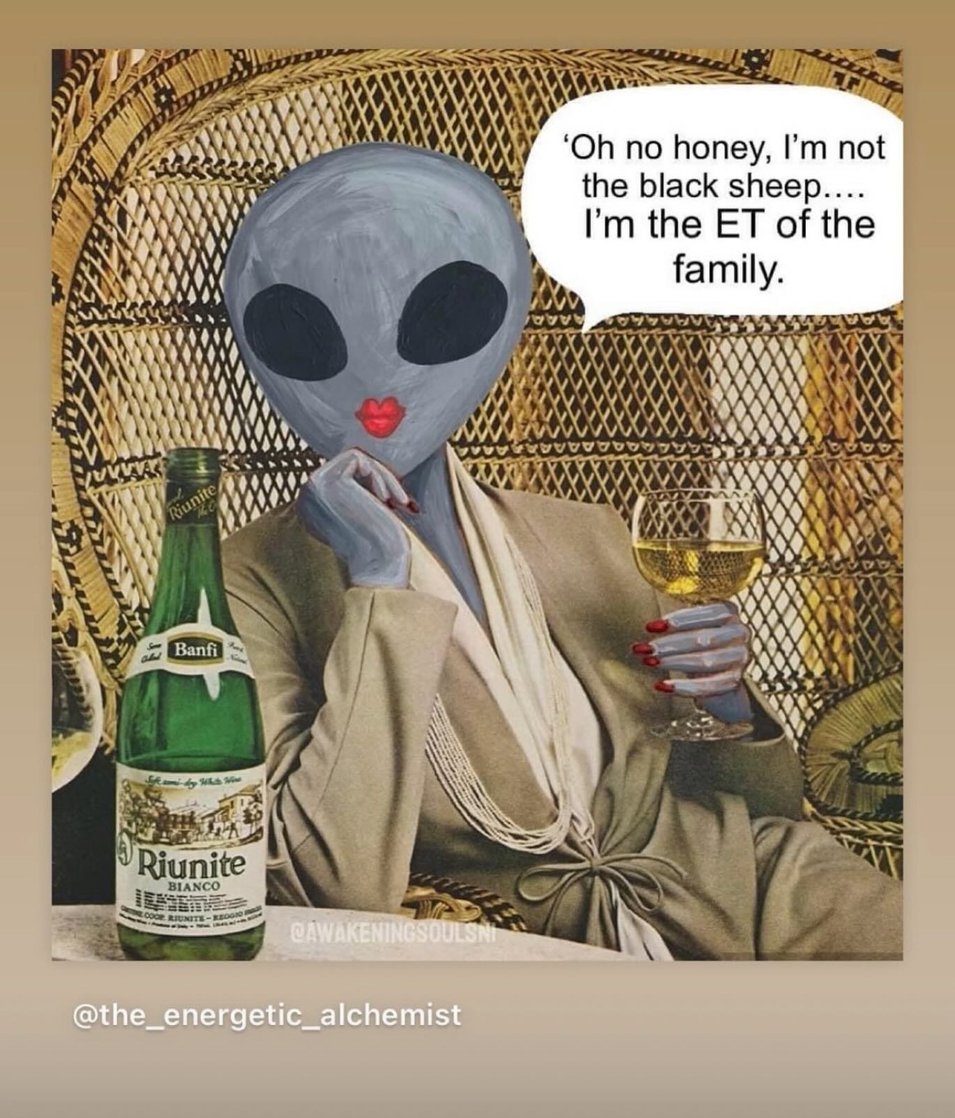 Degene die de waarheid doorziet binnen een toxische familie, of een systeem/organisatie, wordt vaak als zwarte schaap neergezet. Of nog erger, uitgestoten door familieleden die de waarheid nog niet kunnen handelen. Ironisch genoeg is dit ook vaak degene die een heling op zich neemt voor diezelfde familieleden.
‘Eigenlijk leven ze allemaal in een psychose,’ zei een psycholoog jaren geleden tegen mij na het uitkomen van mijn boek. Om me een beetje gerust te stellen. Als ik de hoeveelheid angst en paniekgevoelens van te voren had kunnen inschatten, dan was dat boek er nooit geweest.
“In de waan van het leven” bleek een passende titel.
#psychose #waarheid #divinefeminine #divinefeminineenergy #heling #voorouderlijkehealing #narcisme #angst #narcistischmisbruik