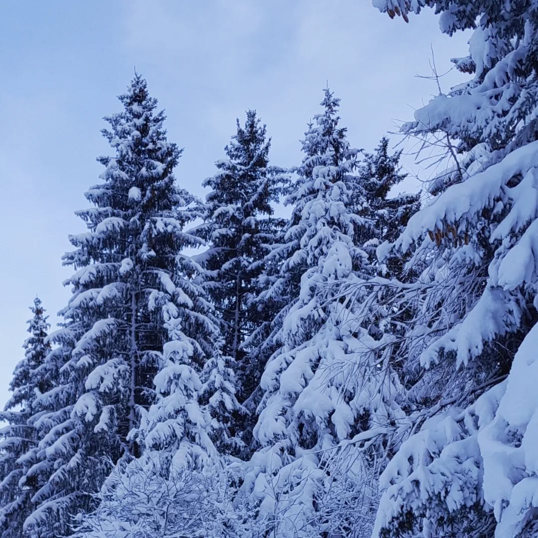 Der lang ersehnte Schnee ist da...
#uts #winterwanderwege #stierva #schlittelbahn #winterzeit