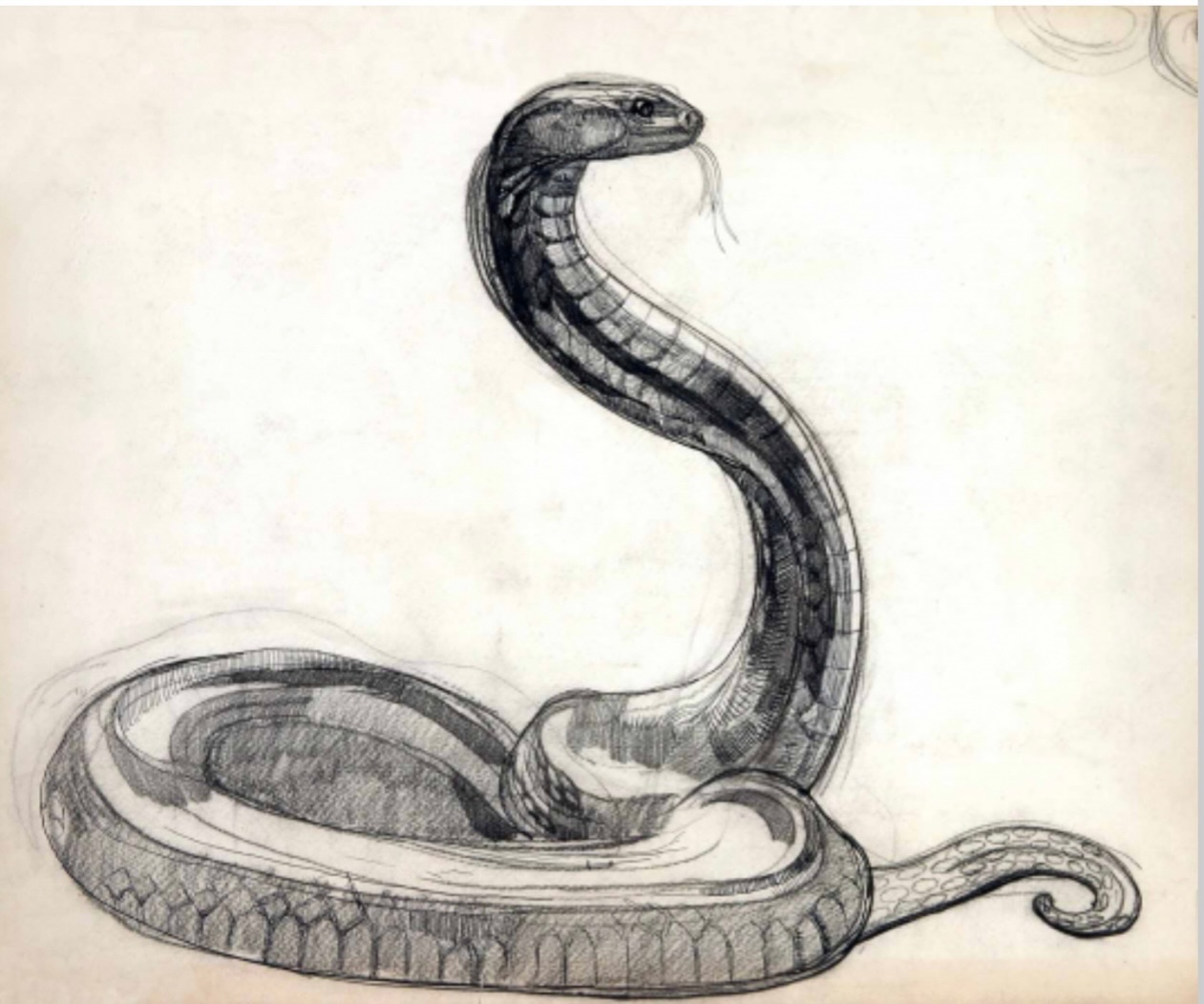 Happy Lunar new Year! Wishing you luck and happiness in the year of the Snake! 🐍
A majestic snake drawing in pen and ink by Paul Jouve, executed in 1924.
#lunarnewyear #snake #yearofthesnake #pauljouve #drawing #pencil #pencildrawing #artdeco #artanimalier