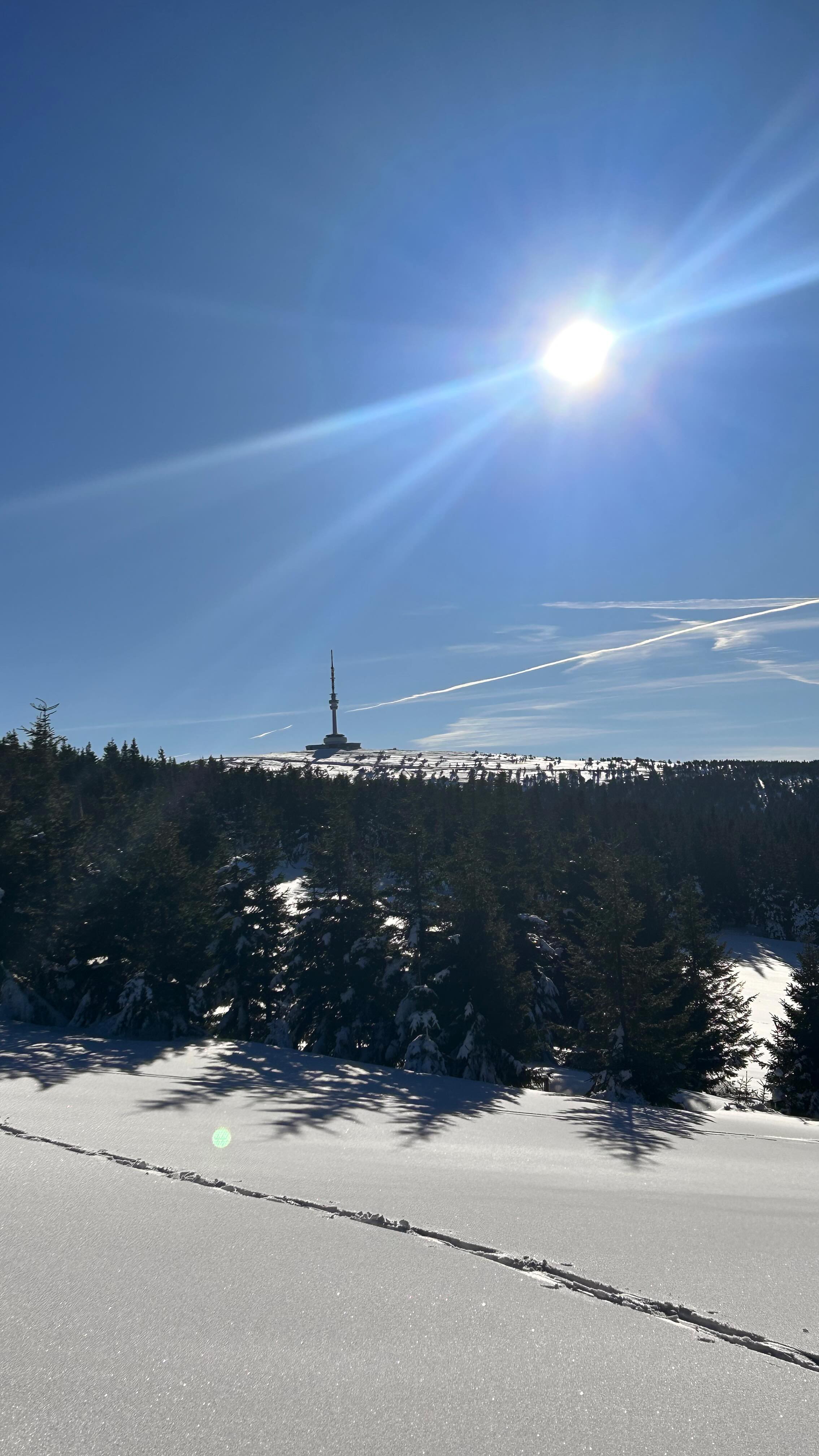 Even it was just few days🎿🚡❄️🌨️it felt two good to be back to snow-luckily my body remembered snowboarding, skiing and cross-country skiing but oh boy I could feel my muscles the next day-so different movement-where are those teaching years and seasons spent inda mountains😋🗻☃️
Greatfull that all worked out in such a short notice and we been lucky with amazing weather and crispy snow!
Mum’s dogs been the happiest 💯.
See you next time 🇨🇿🇦🇹mountains.
Who else luvs skiing and snowboarding?!🏂 ⛷️
#skiing #snowboarding #snow #mountains