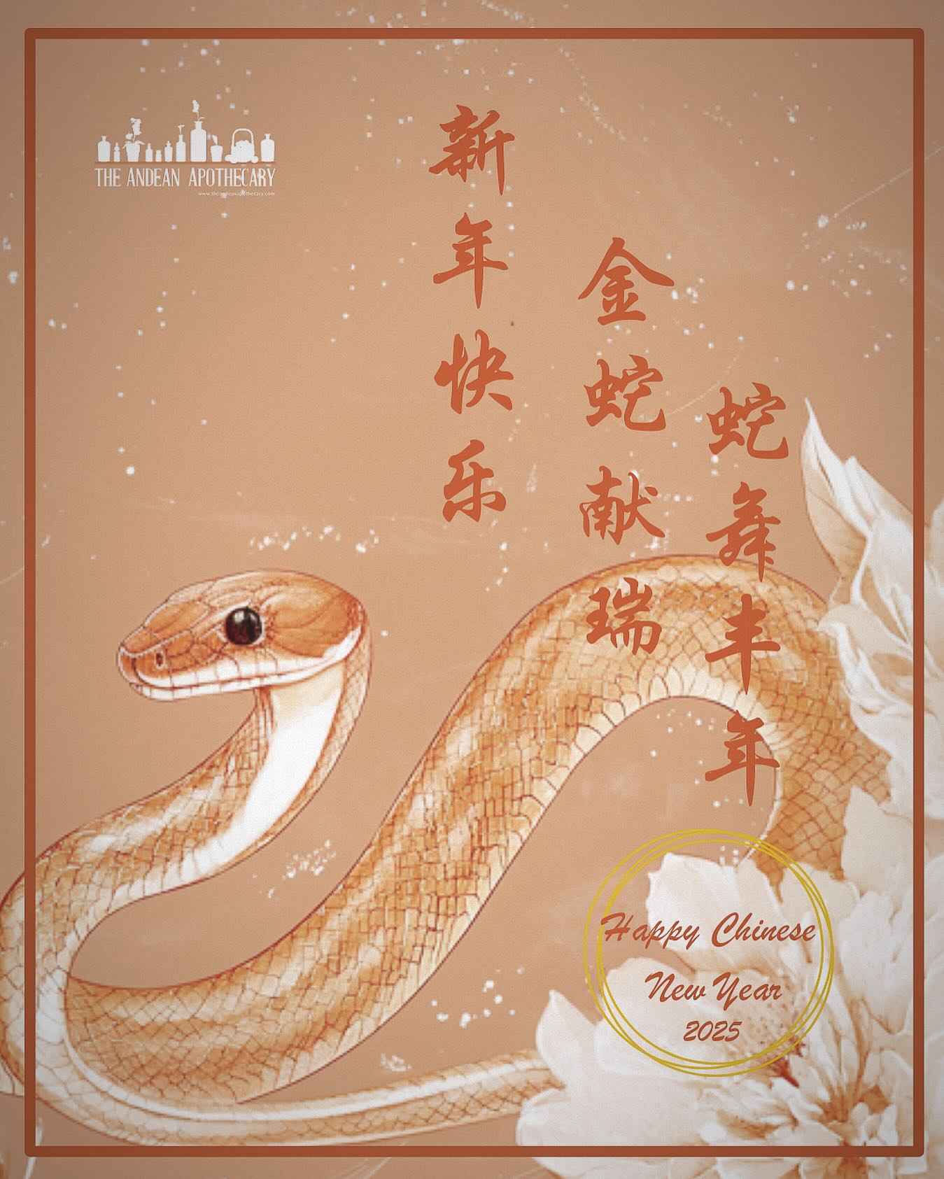 Today we get another opportunity for “New beginnings” not only with the start of Chinese New Year🐍, but also with the energies of this month’s New Moon. The snake represents deep thinking, patience and the ability to adapt to change. This is a good year for #selfreflection #decisionmaking and #creativeprogress. In order to grow and evolve the snake has to shed their skin, and so we can learn from it and let go of old things (believes and emotions) to welcome new opportunities and embrace transformation. #snakeyear2025 #chinesenewyear2025 #newbeginnings