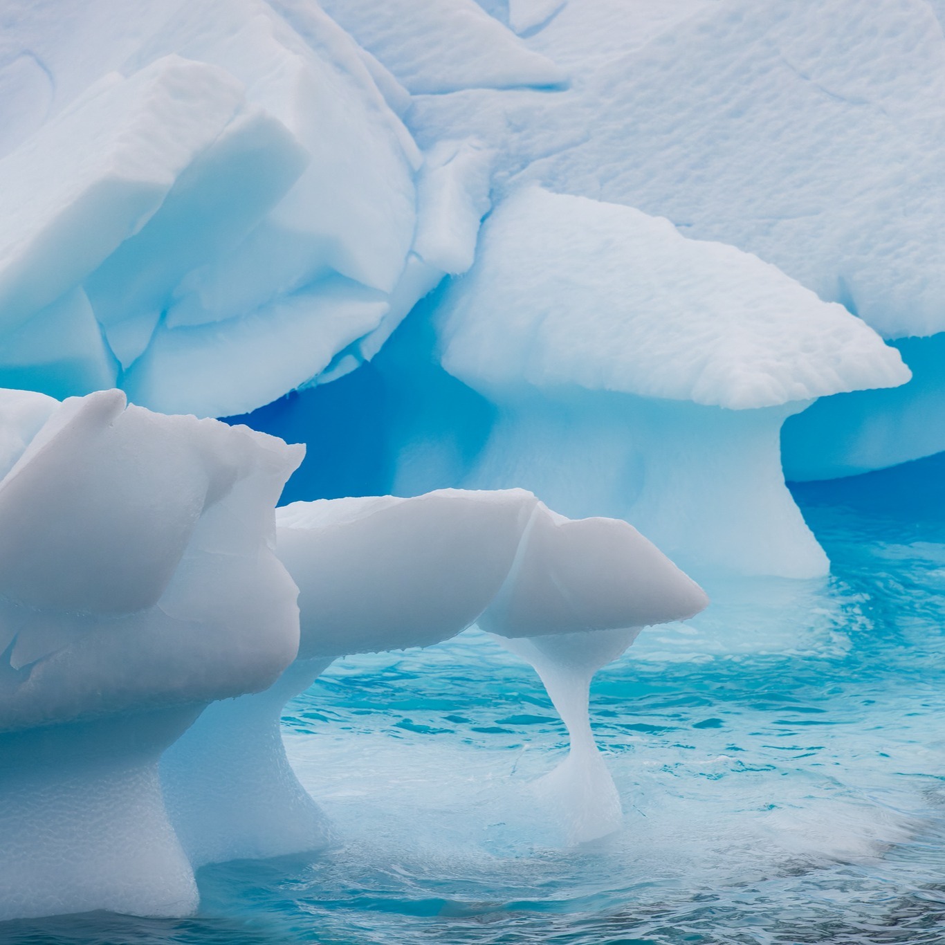 I used to think the vivid blue in photos of Antarctic ice was heavily edited – surely ice couldn’t be that blue?
So, what makes the ice look so blue? The red (long wavelengths) part of white light is absorbed by ice and the blue (short wavelengths) light is transmitted and scattered. The longer the path (thicker ice) light travels in ice, the more blue it appears. It’s pure physics, not Photoshop.
.
.
.
.
.
#antarctica #antarctic #canon #canonphotography #travel #travelphotography #ice #landscapephotography #instagood #earth #earthfocus #bucketlist #sciencefacts