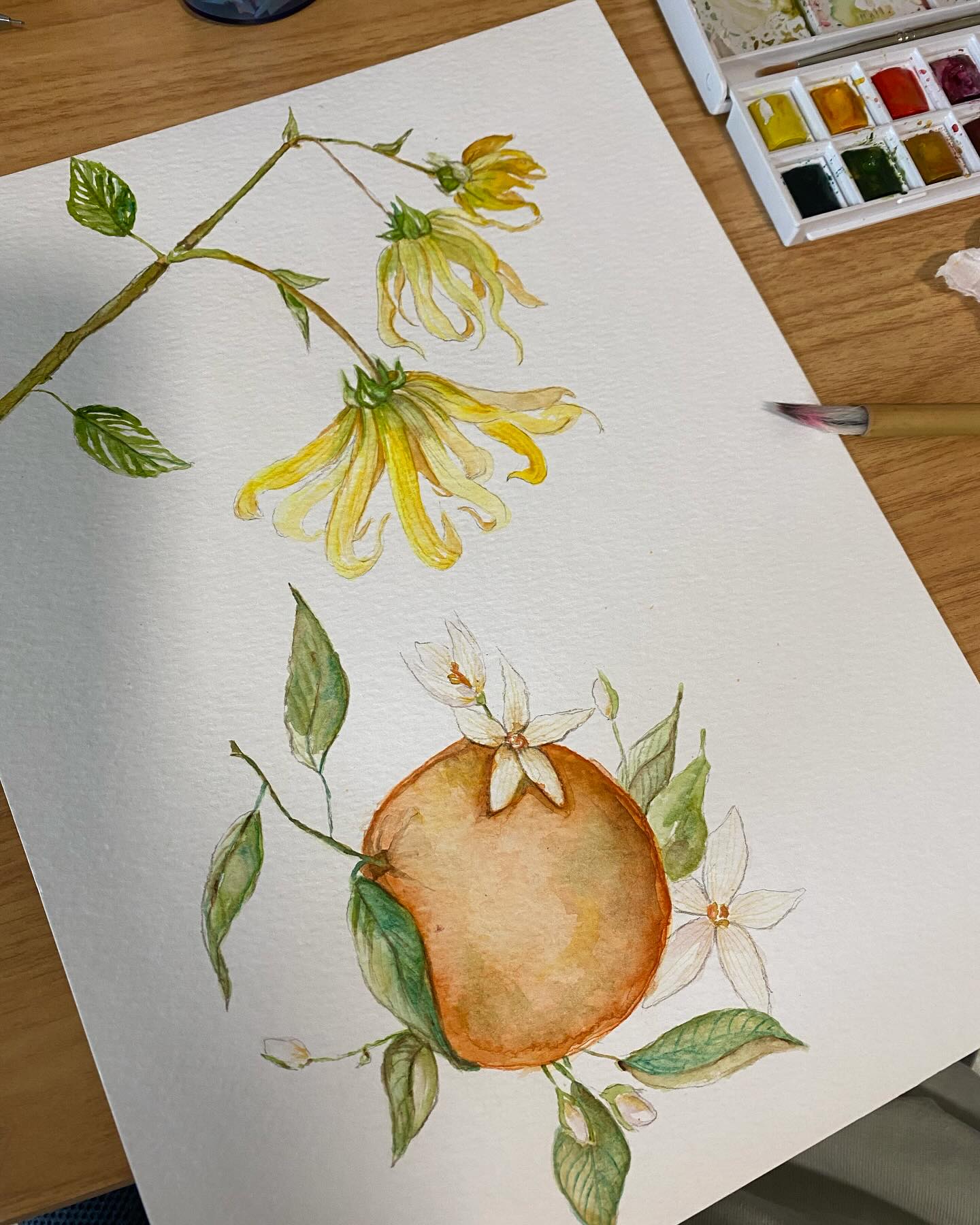 🍊🍊🍊
paintings for @loveshackfancy