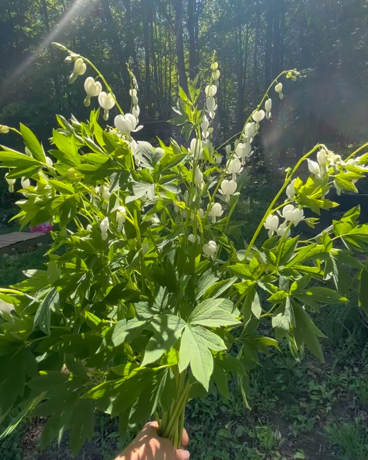 This was May 2024. But like, is anyone even on IG anymore?