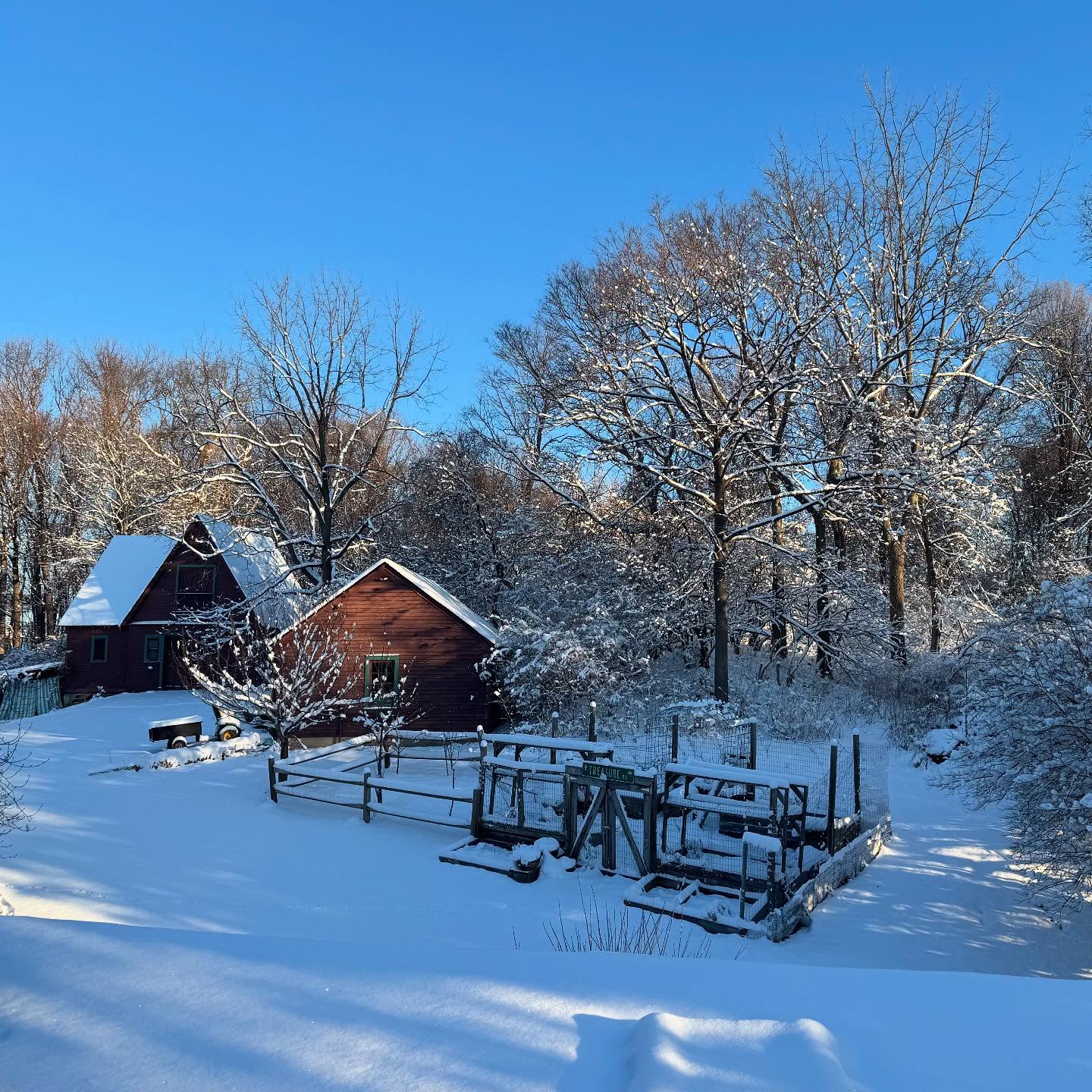 Loving these snow days but can’t wait to start getting ready for Spring! 🌸🌼💐