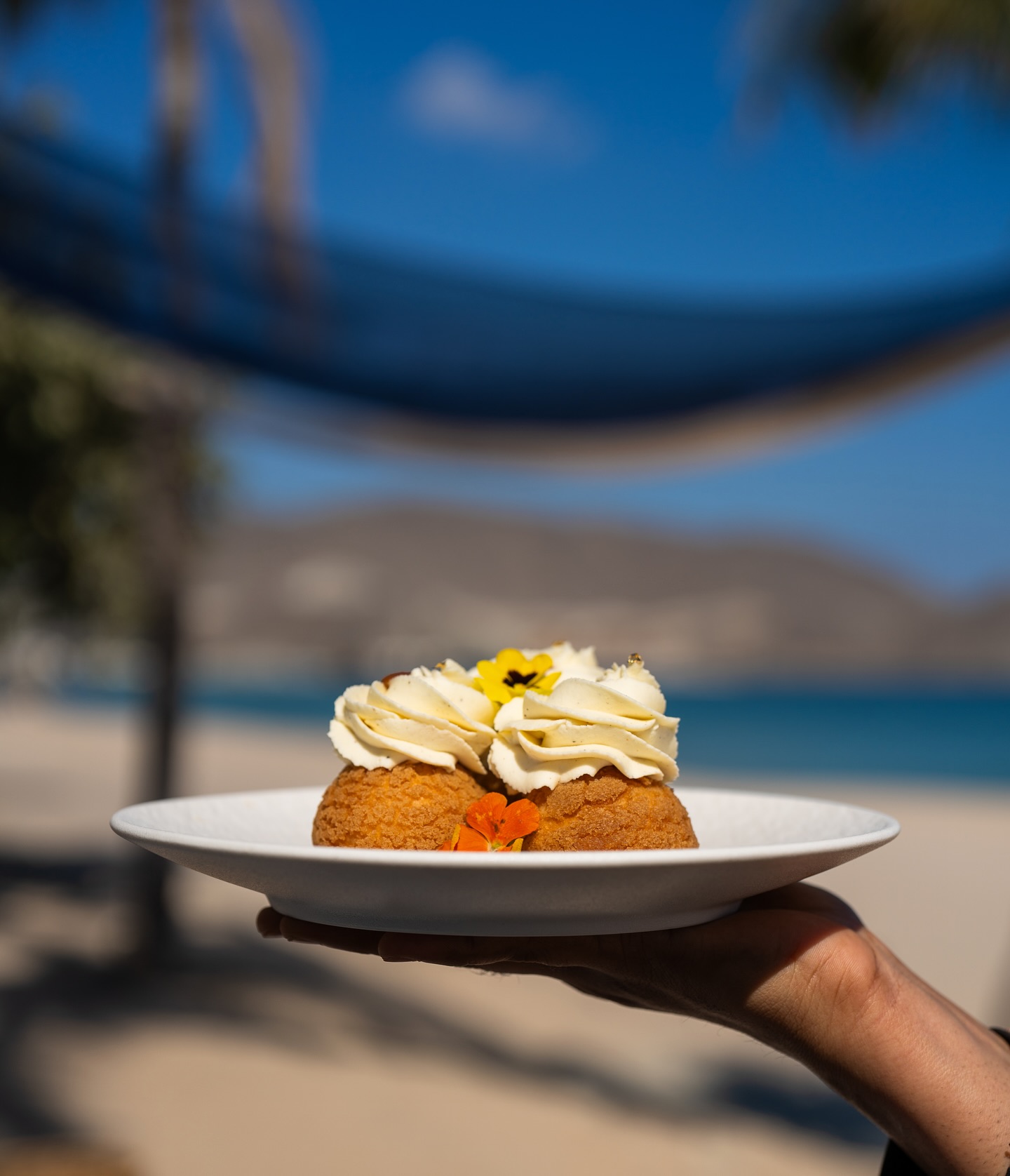 : White Chocolate & Hazelnut Pâte à Choux