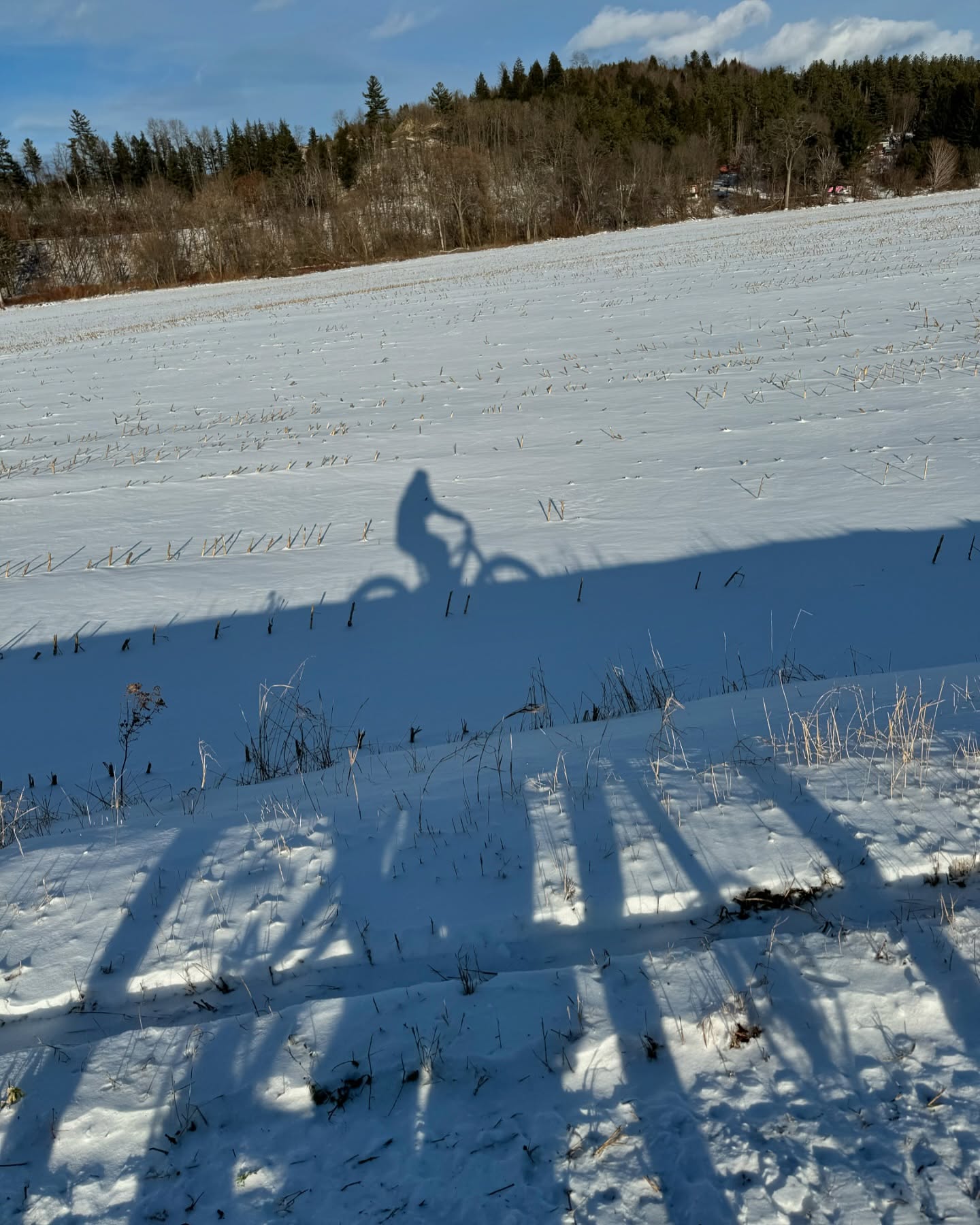 Life is a balancing act and just a simple bike ride is not only good practice 🚲 it can also help you see things from a different perspective #getoutside #bikebalance #lifebalance #winterbiking #donthibernate #recreate #outsideisbest #winterinvermont #lvrt #lamoillevalleyrailtrail #bikevt #vermontwinter #fatbikefun