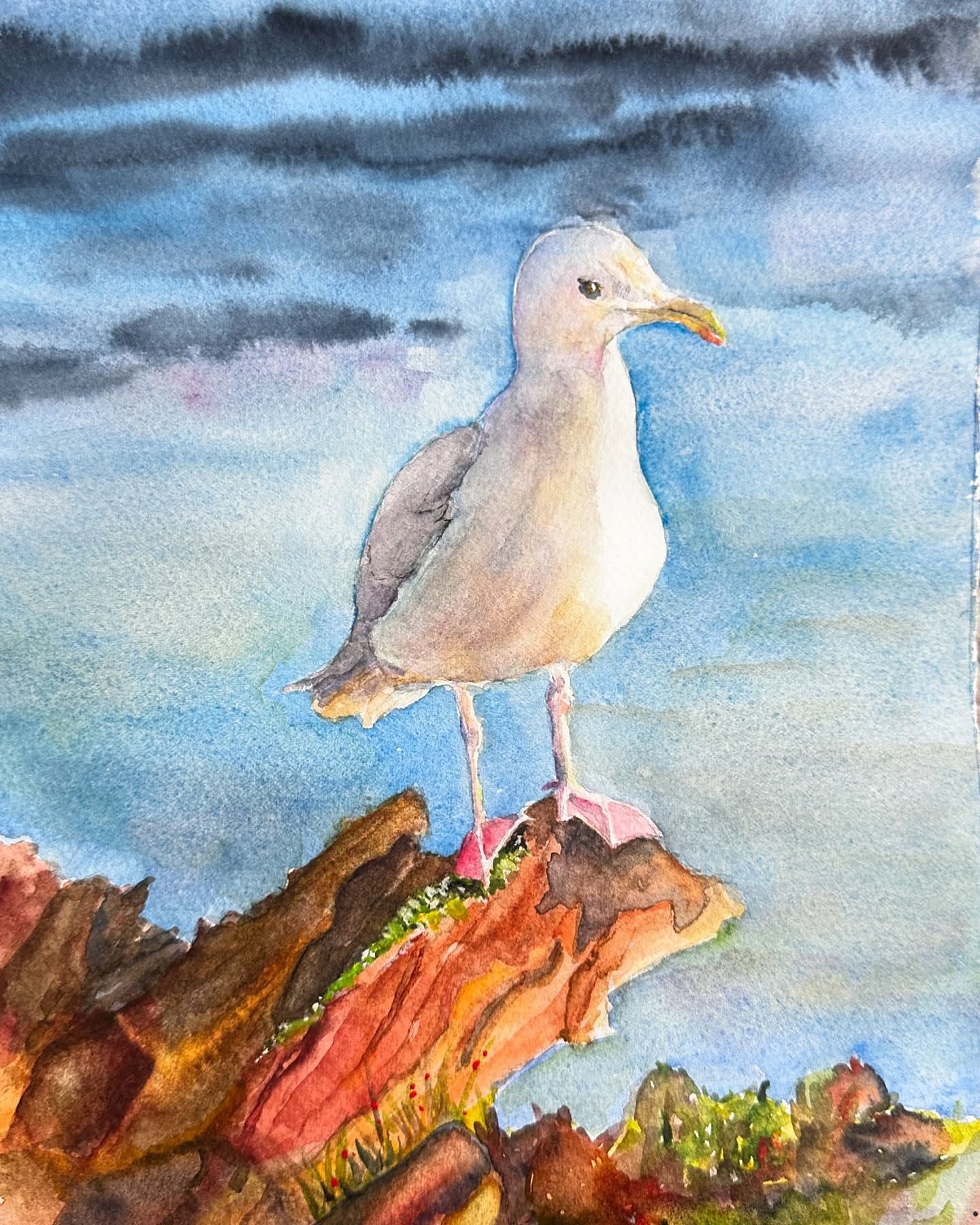 Jonathon Livingston - watercolour on Fabriano 140 lb cold press. I’ve been taking reflective shadow lessons by Wendy Mould. The photo for this painting was provided by Wendy. If you are looking to improve your work through learning more about values and reflection in shadows I highly recommend Wendy. @artbywendym
#artbywendym #ilovetolearn #practicemakesprogress #watercolors #watercolours #seagull #seagullpainting #vancityart #opusartsupplies #opusdailychallenge #sswras #whiterockartist #carolynbaroneartist