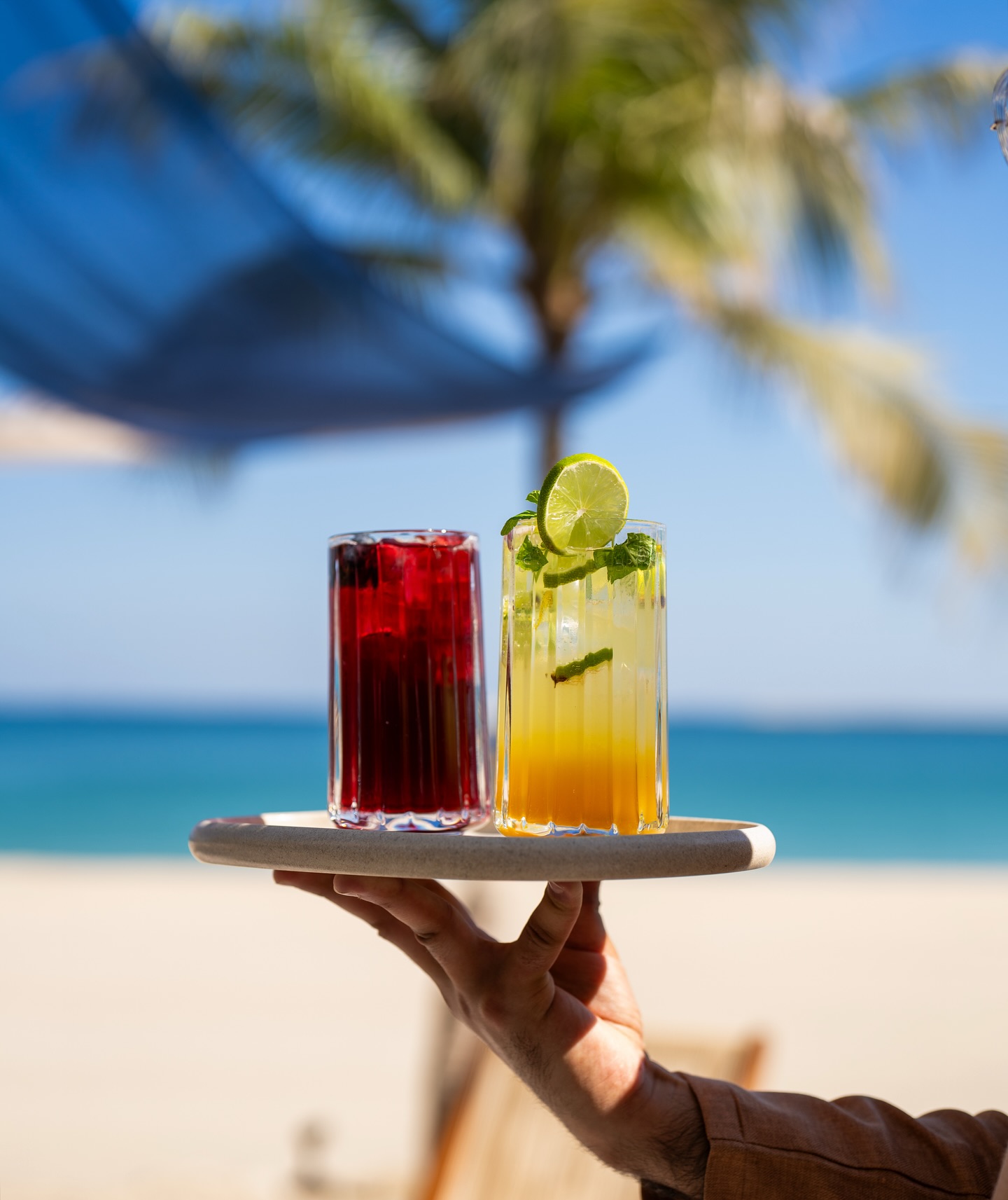 Iced teas or Mojitos 💭?