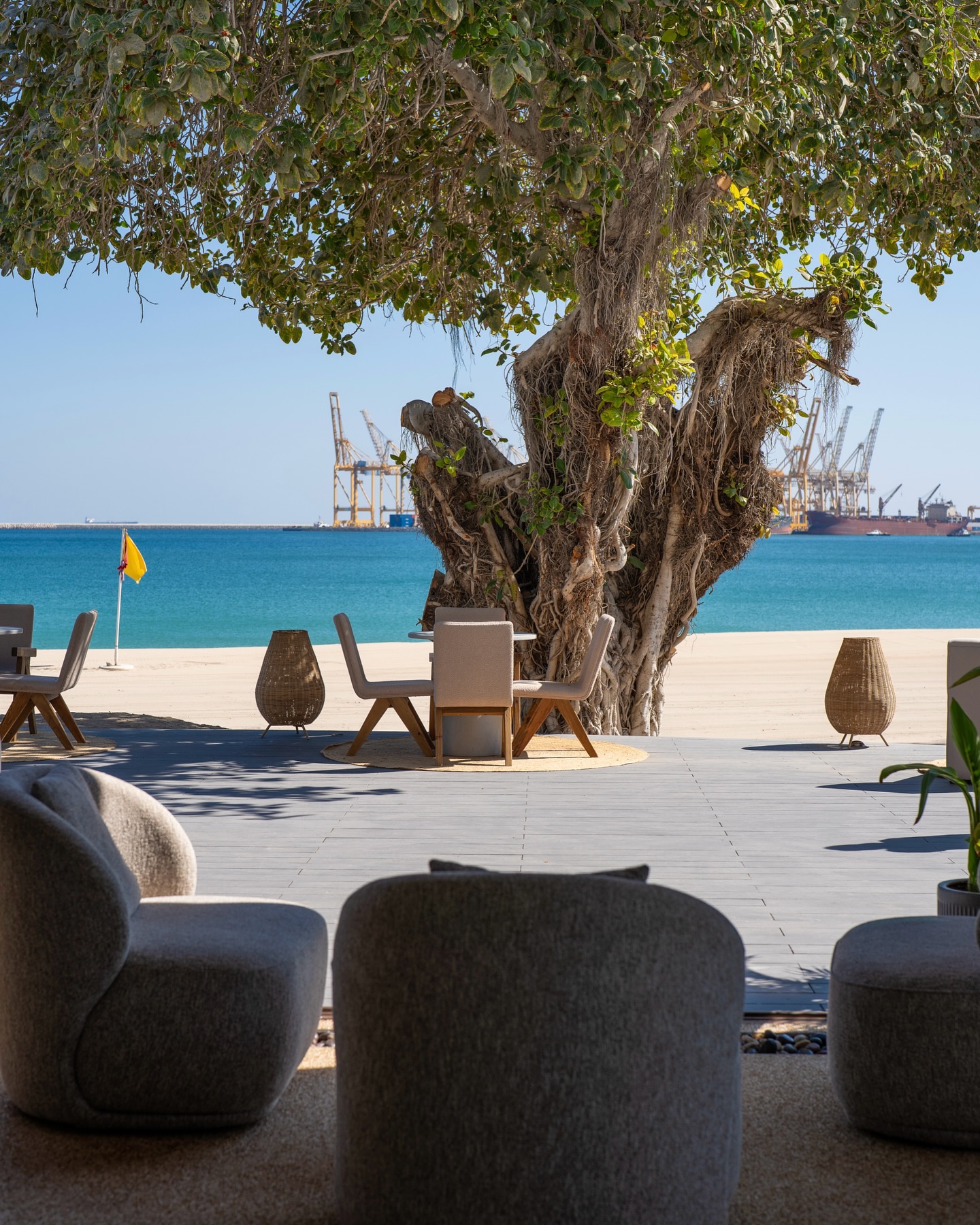 Take a seat, and enjoy the view ☀️🏝️