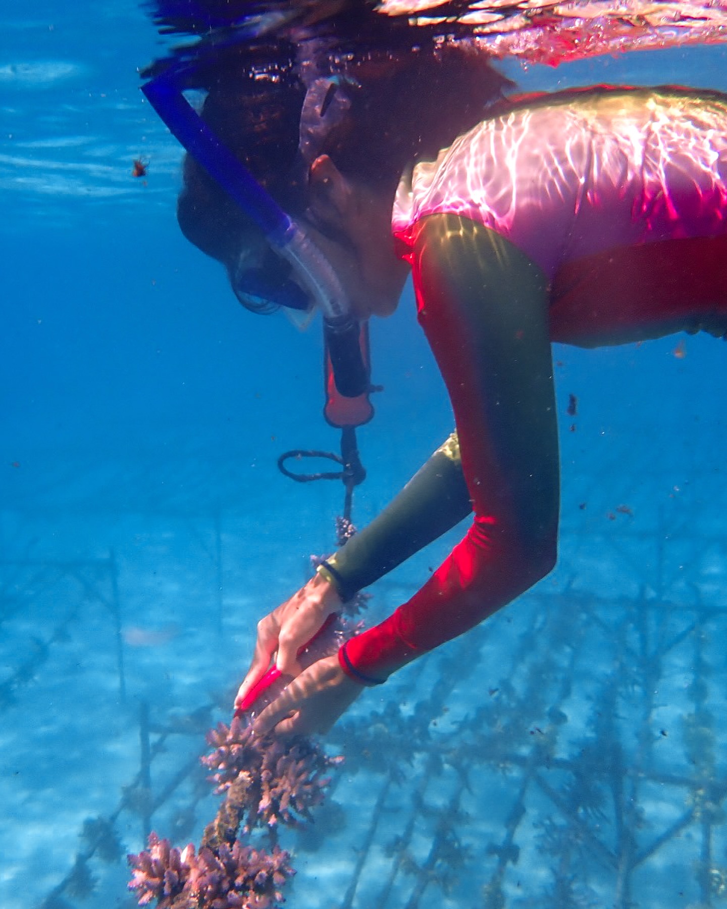 This is exactly what Fiji looked like and I totally didn’t puke off the side of a boat or find a crab in my bed 🦀 #fiji #kokomoprivateisland #travelwriter