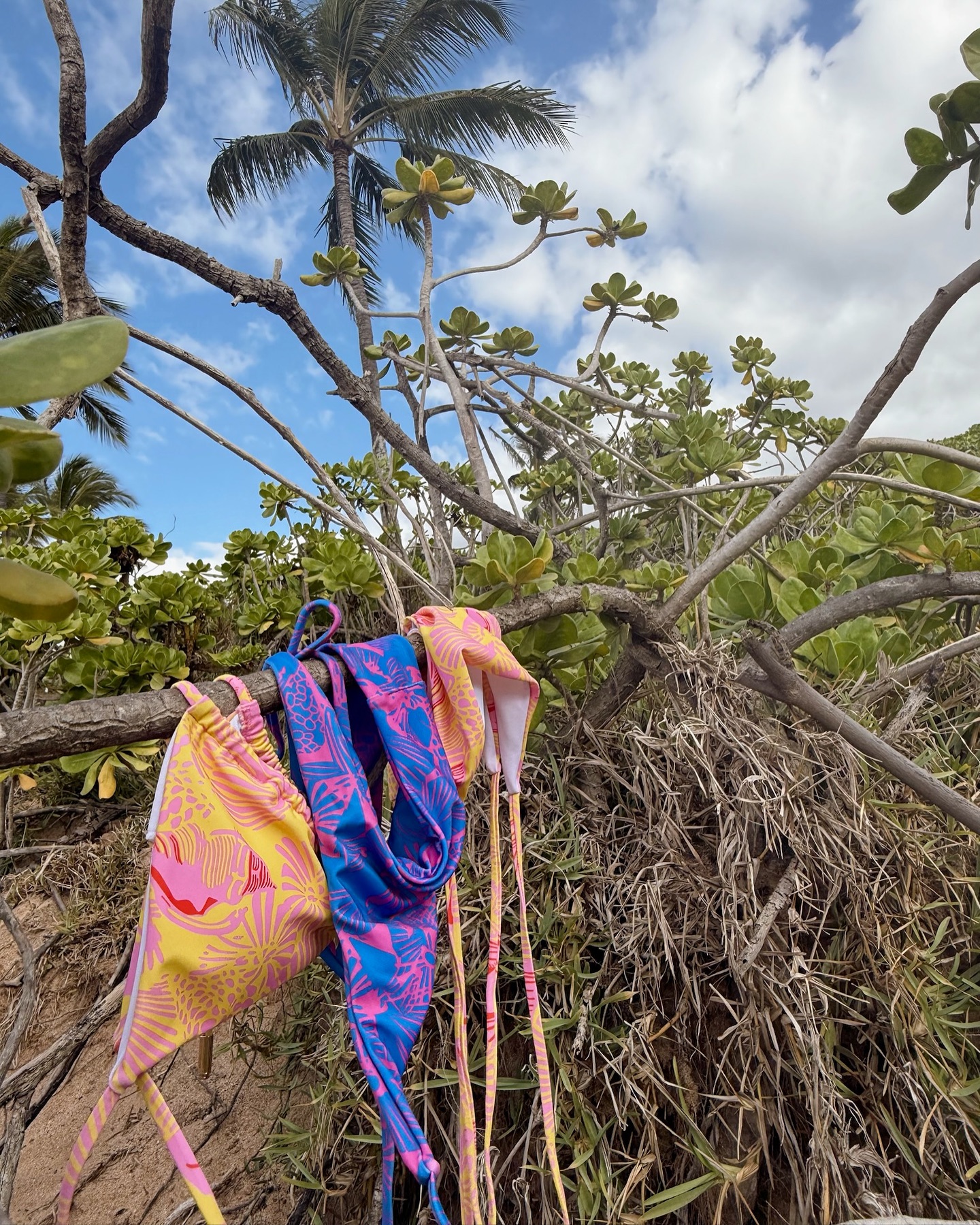 Spring break plans?? Make sure to say hello to us today at our LMU pop up event and grab a bikini for the trip you’ll eventually plan 😉