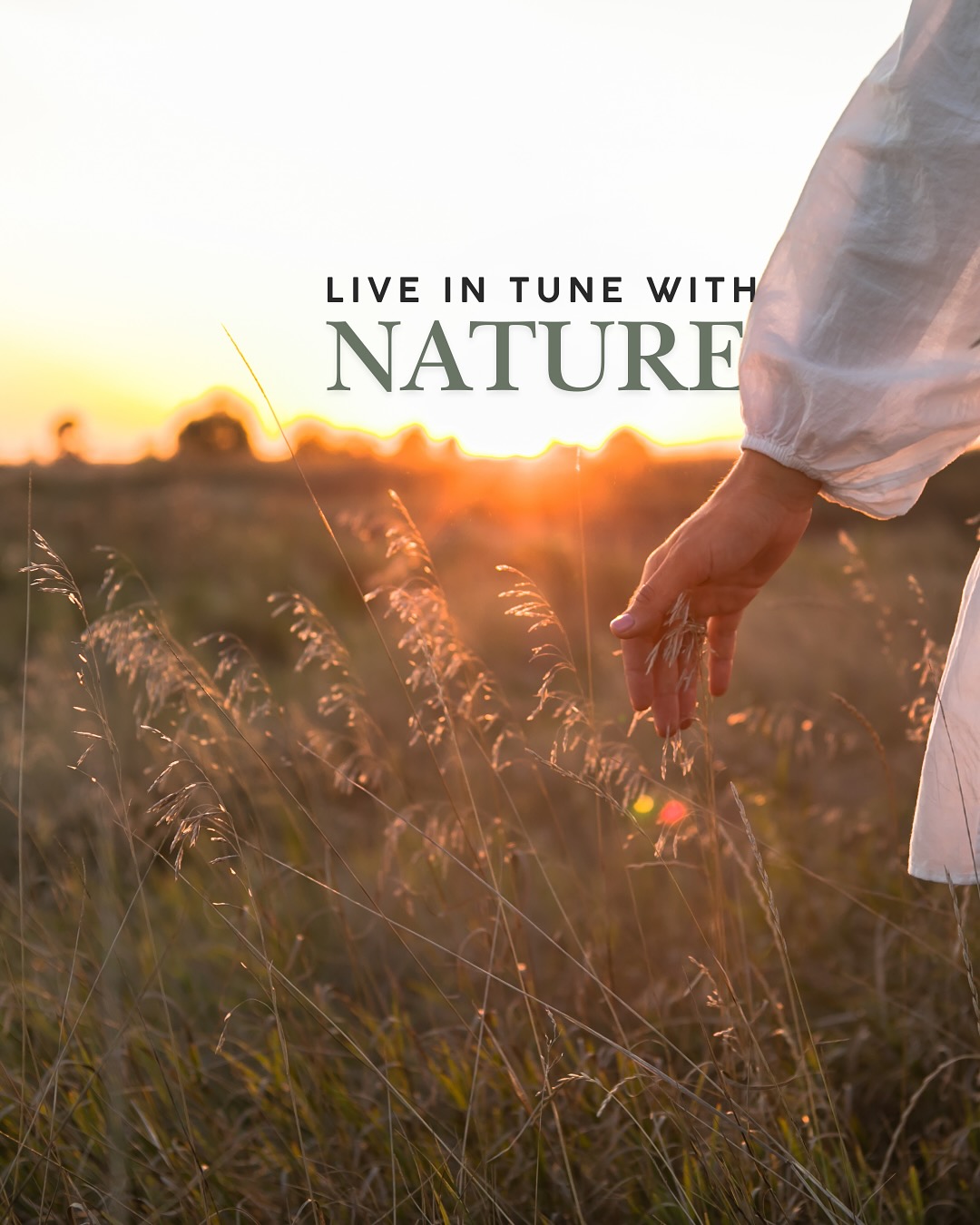 “Health is in harmony with nature, disease is in conflict with it.” - Charla Samhita
-
#health #harmony #follow #ayurveda #mind #body #soul #selfcare #nature #liveinnature #info #infopost #share #like #follow #sun #eating #winddown #rhythms #nature #clarity #balance #innerbalance