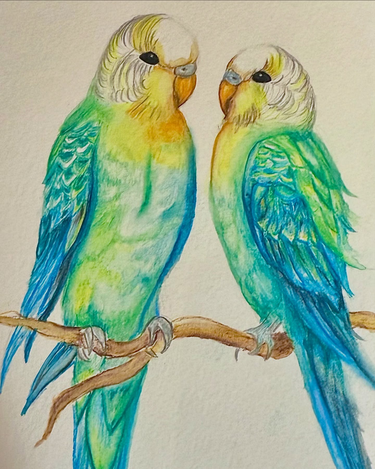 A little love, a little color, a little magic. 💙💚✨
#WatercolorArt #LoveBirds #Budgies #BirdArt #Handmade #ArtTherapy #CreativeSoul #NatureInspired