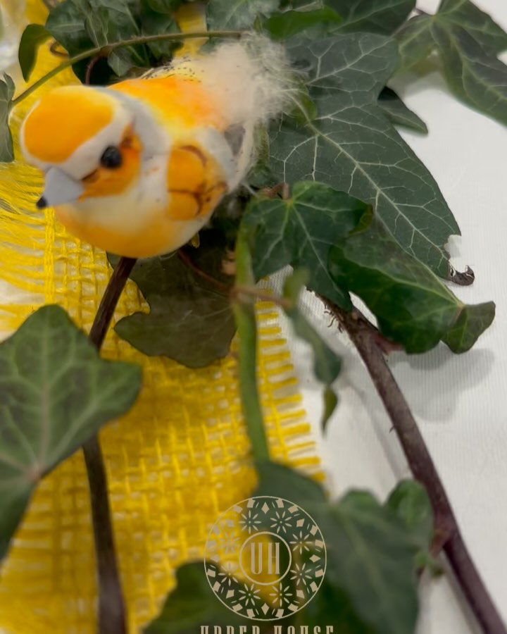 #aystetten #augsburg #adelsried #gersthofen #meitingen #fy #fyp #augsburglocation #geburtstag #taufe #hochzeit #partyraum #feier #günzburg #zusmarshausen #burgau #lauingen #dillingen #dasing #königsbrunn #landsbergamlech #ingolstadt #neuburg #aichach