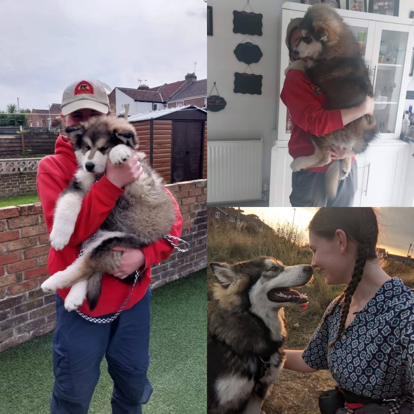 Happy Birthday Dexter!!!
Ya Big 3 year old 🥰
@dexterwolfdog