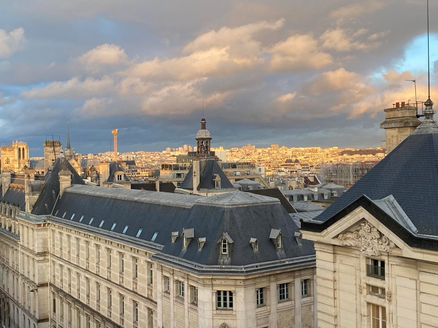 After the rain in Paris, beautiful light announces a soft evening. It will be raining again tomorrow of course but for now, itâs mellow and calm.
.
#paris #eveninginparis #beautifullight #shadesofgrey #mybalconymyheaven